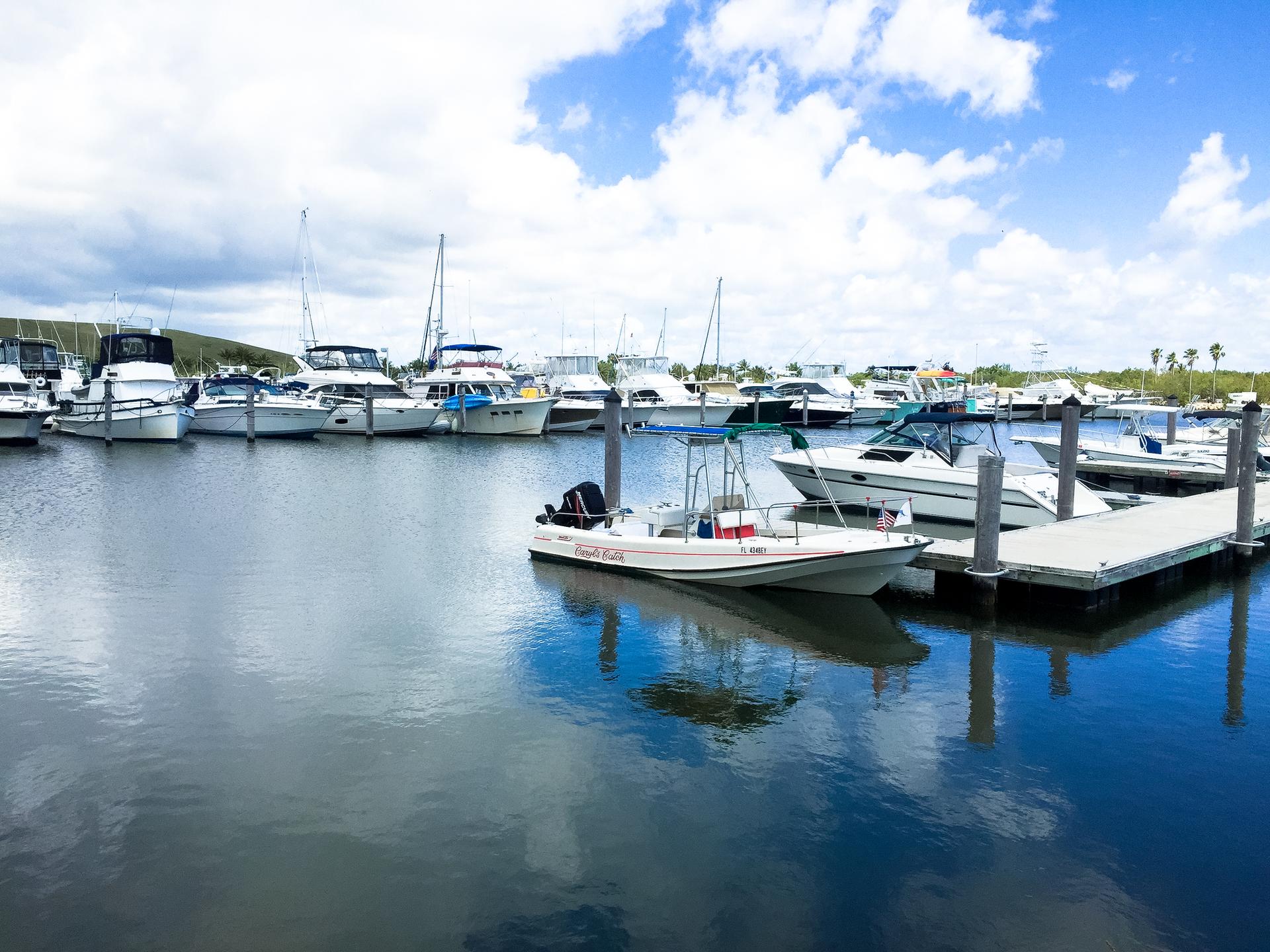 Numerous boats docked in a calm marina under a bright, cloudy sky.