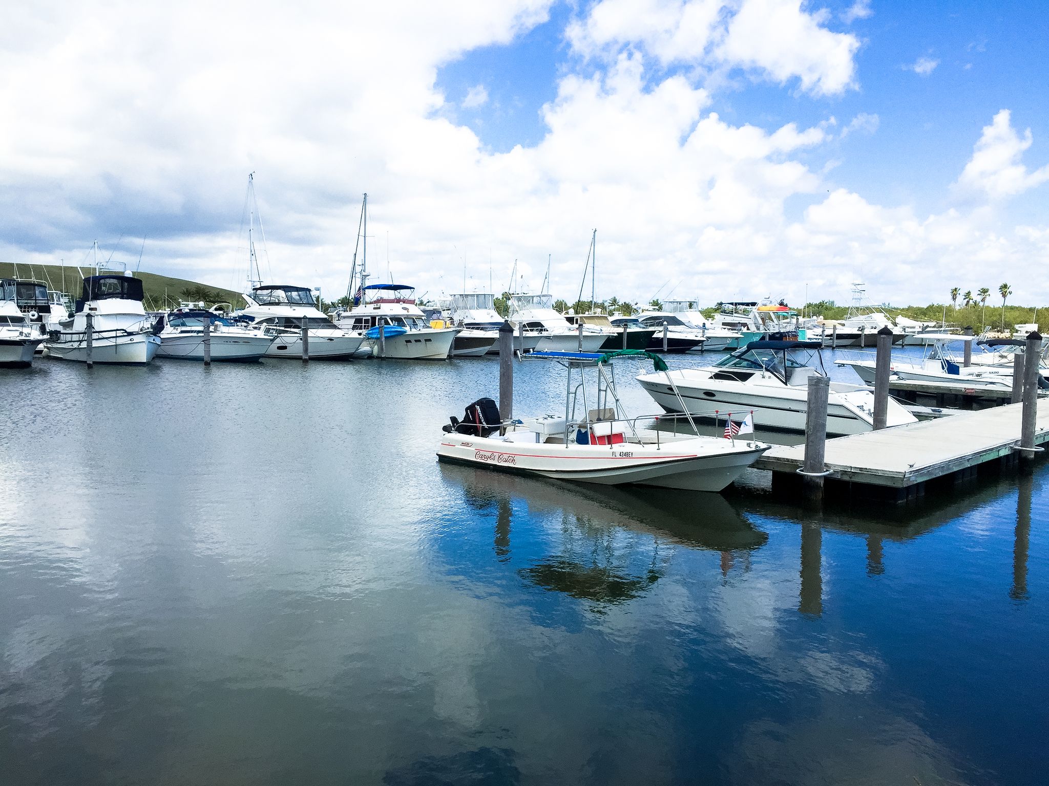 Numerous boats docked in a calm marina under a bright, cloudy sky. - Black Creek Trail