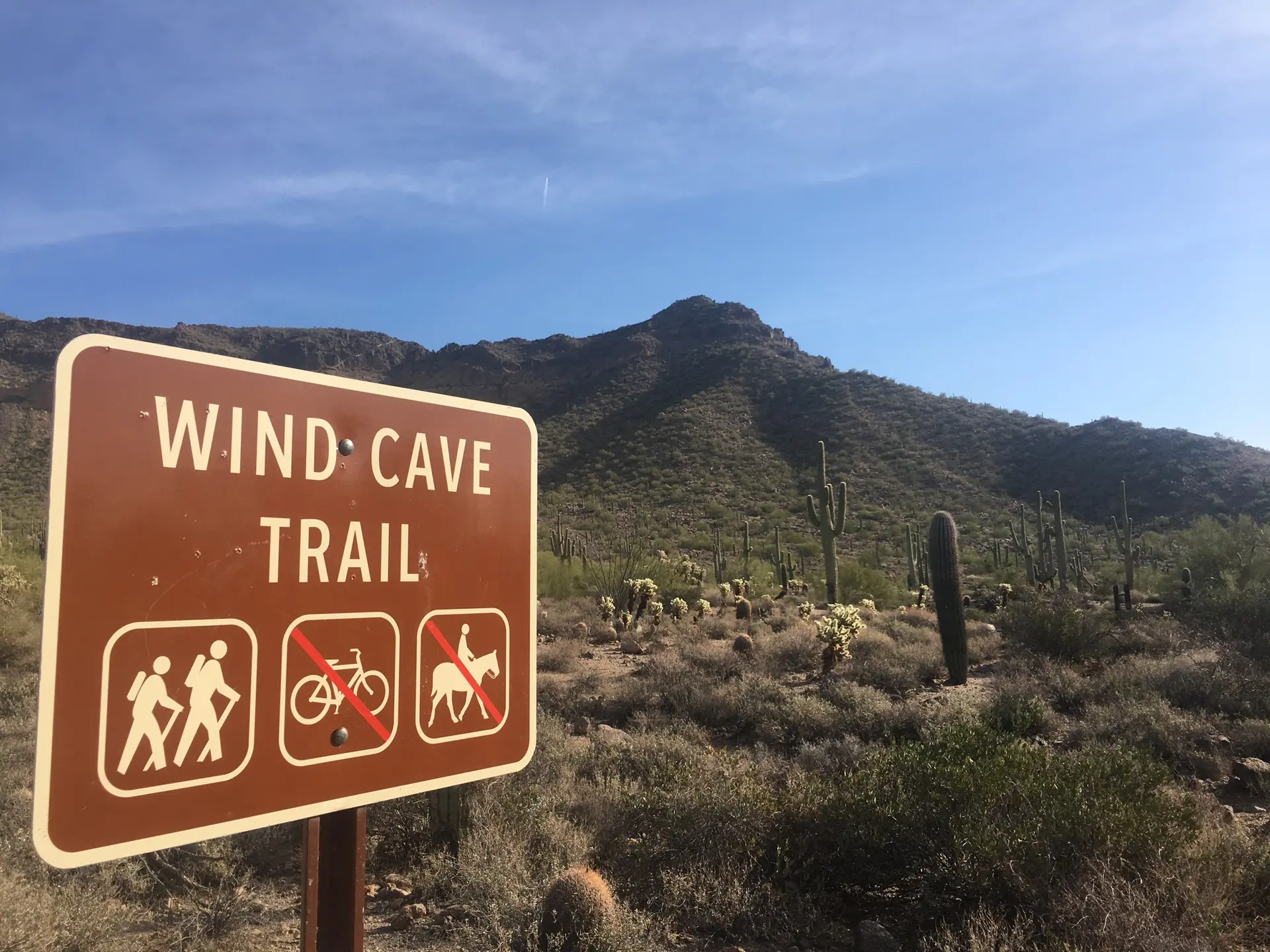 A trail sign with symbols stands in a desert with cacti and mountains.