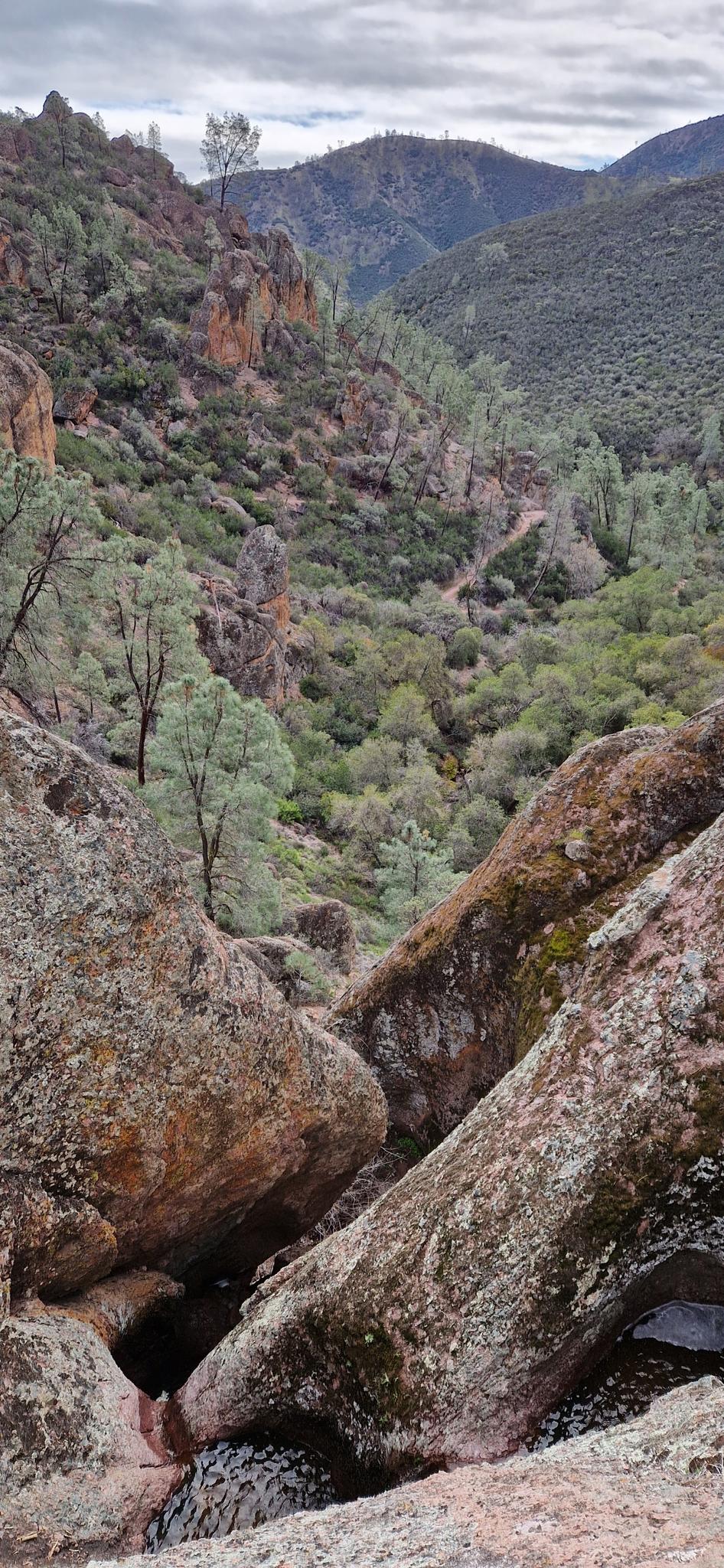 Overcast view of a deep, rocky valley filled with green trees.