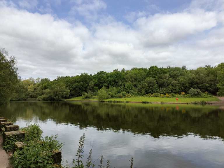 Little Bracebridge Pond, Sutton Park Routes for Walking and Hiking | Komoot