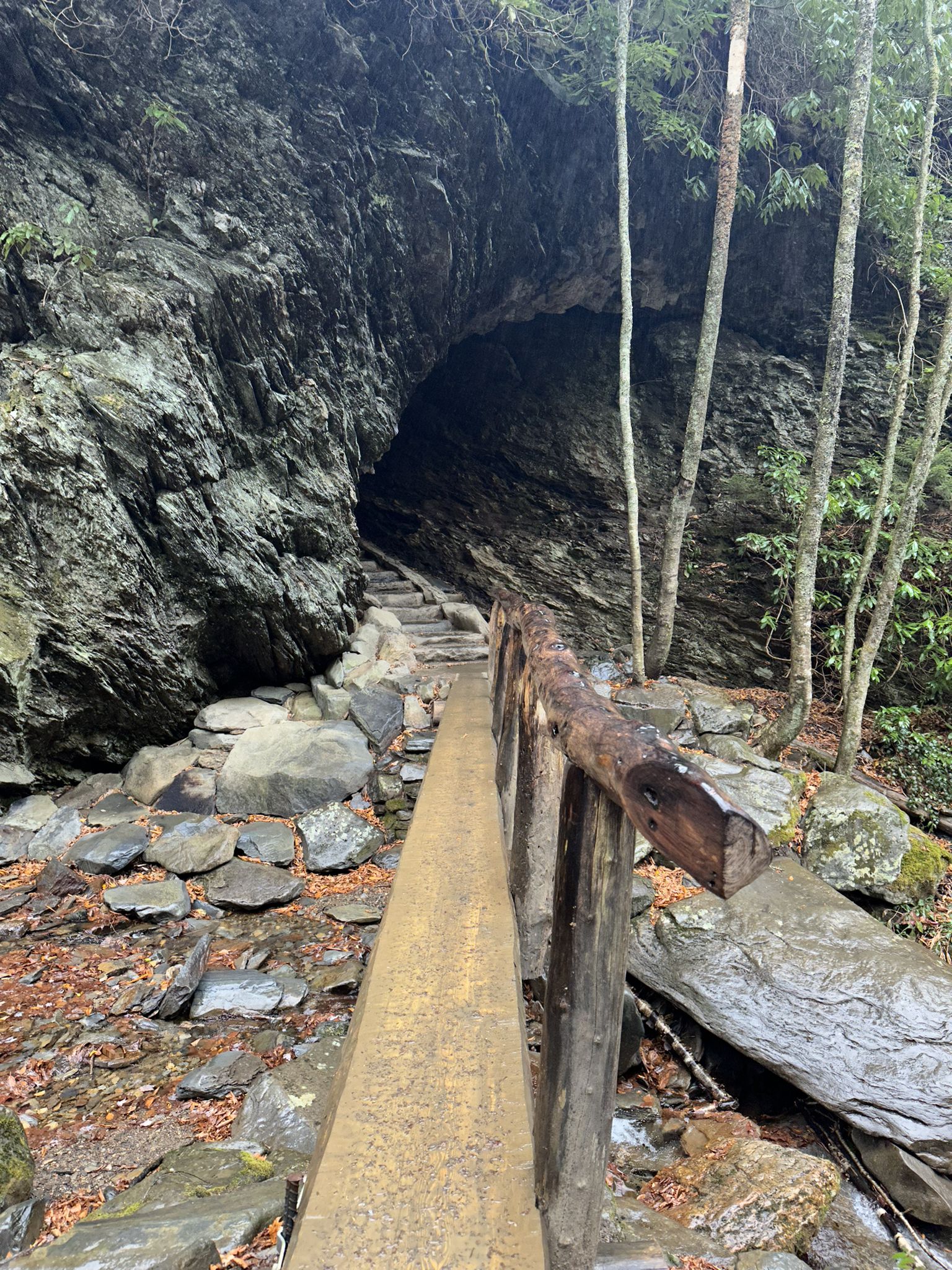 Wooden walkway and stone steps lead into a dark rock cave. - Alum Cave Trail
