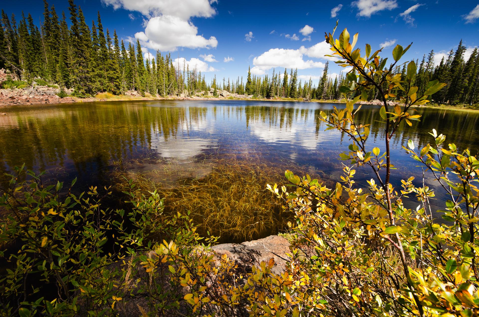 A serene lake with clear water, reflecting blue sky and surrounding pine trees.
