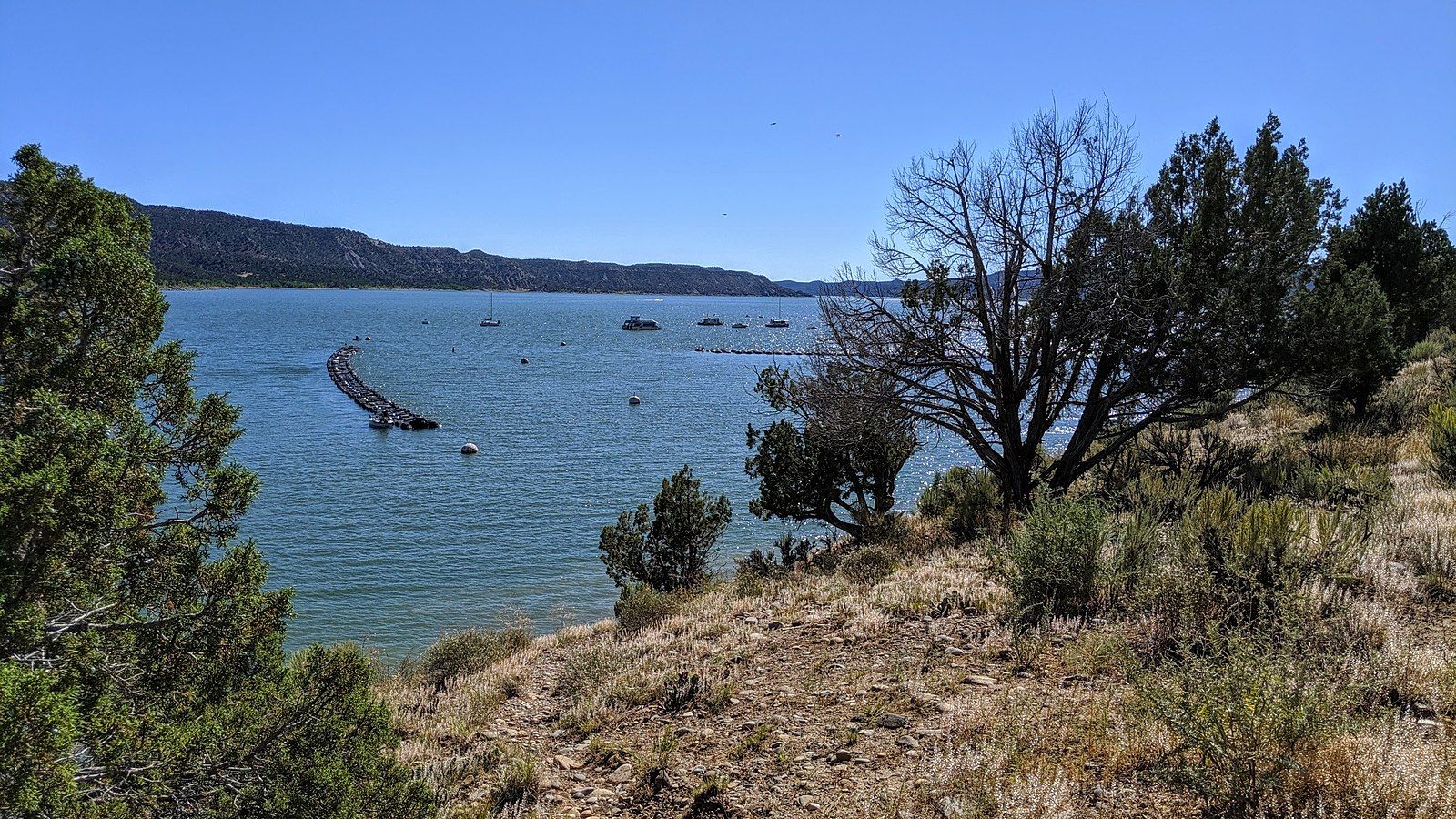 Sunny day over a large lake with a floating barrier, dry hills, and sparse trees. - Piedra Trail