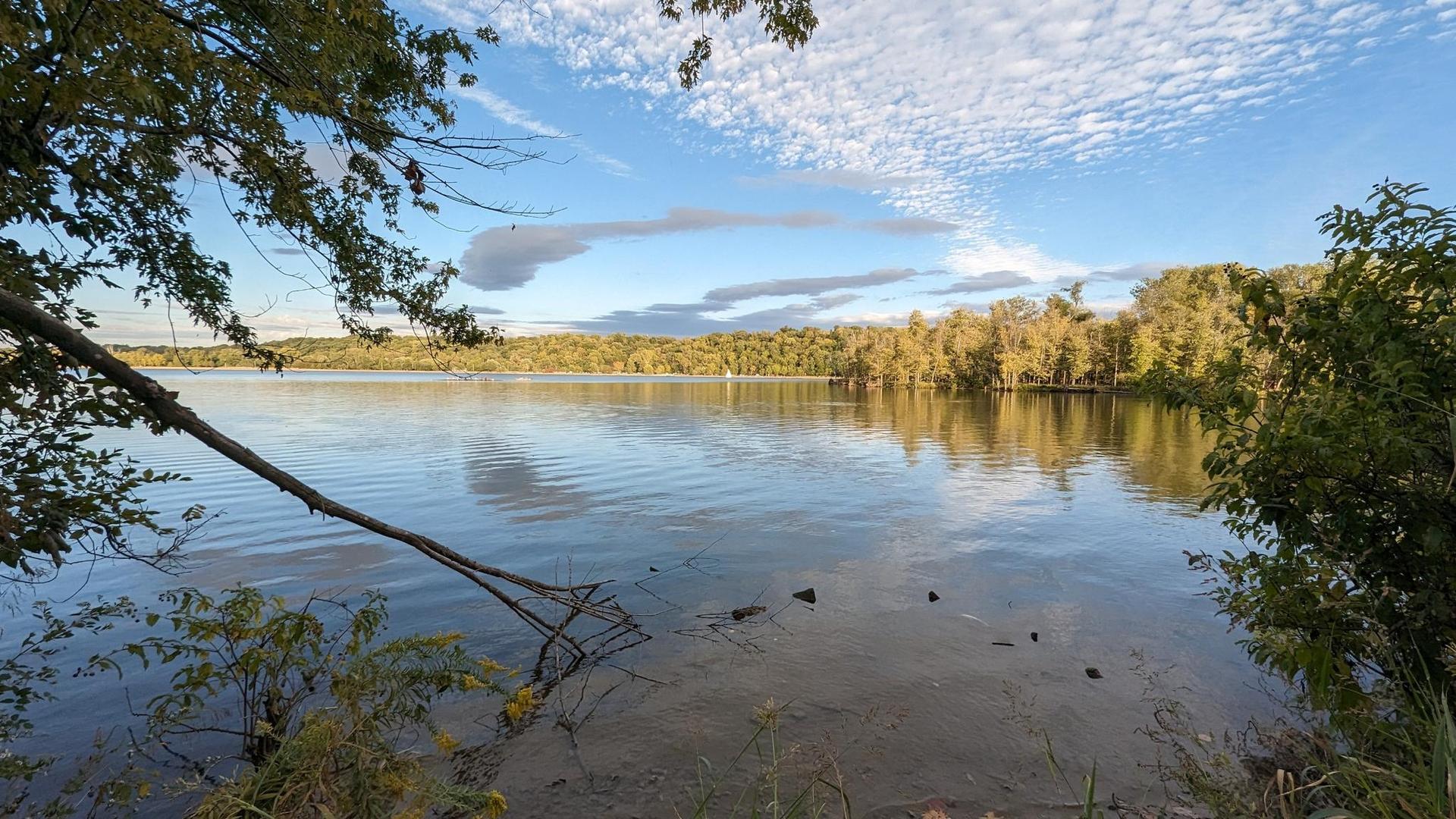 Wide lake surrounded by green and autumn trees under a bright, cloudy sky.