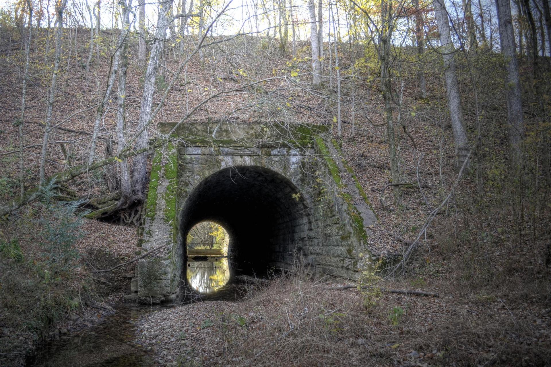 A mossy stone tunnel entrance with light visible at its far end.