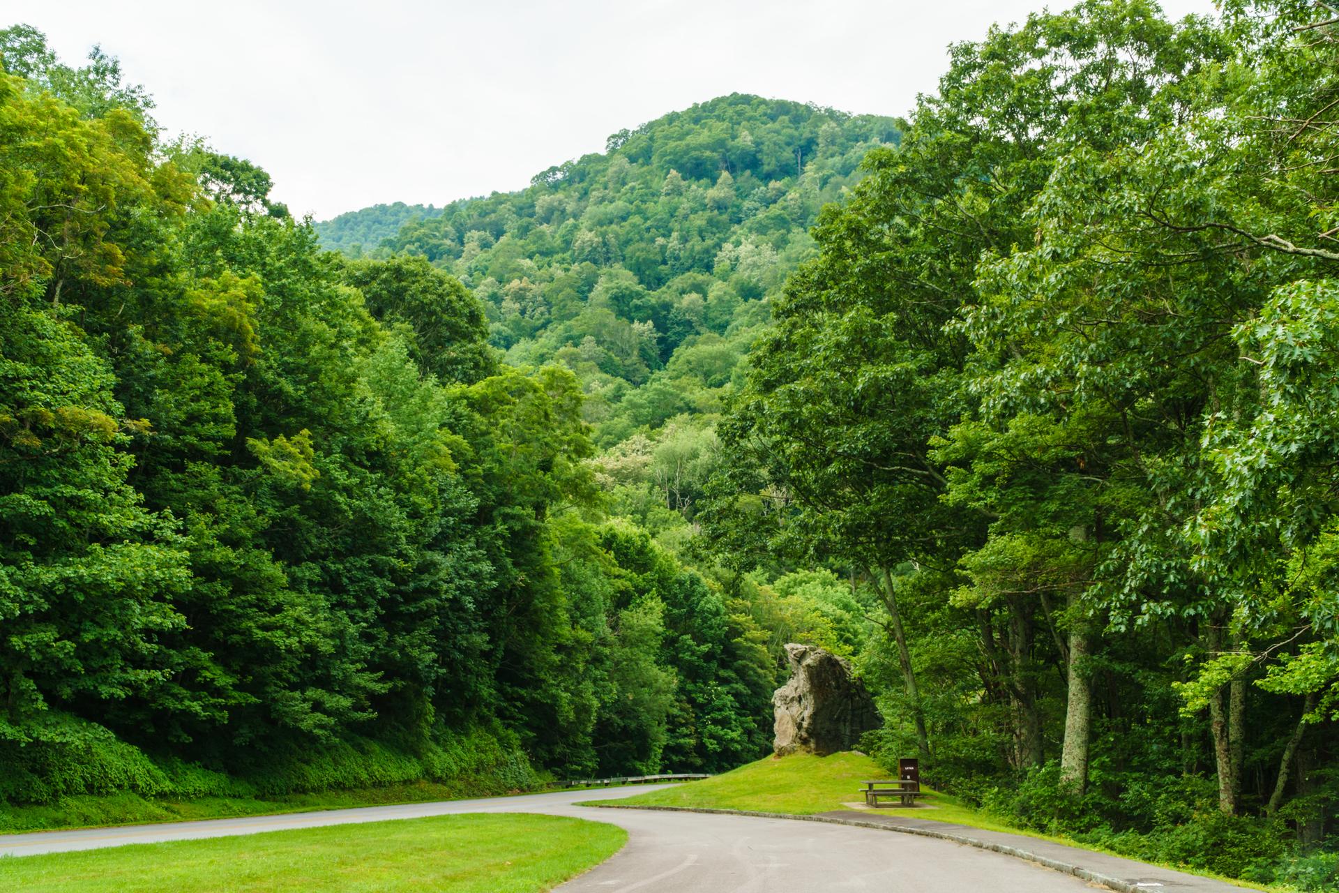 A winding road through dense green forest with a large rock formation.