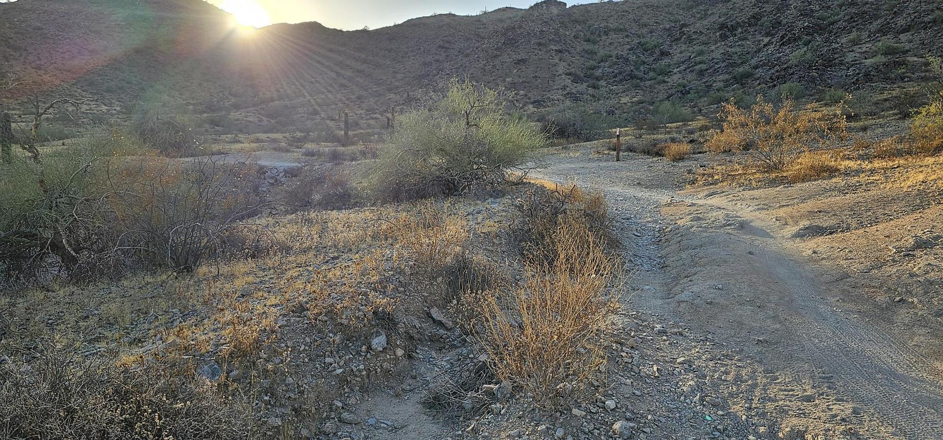 Dirt trail through desert scrub with mountains and a bright sunset.