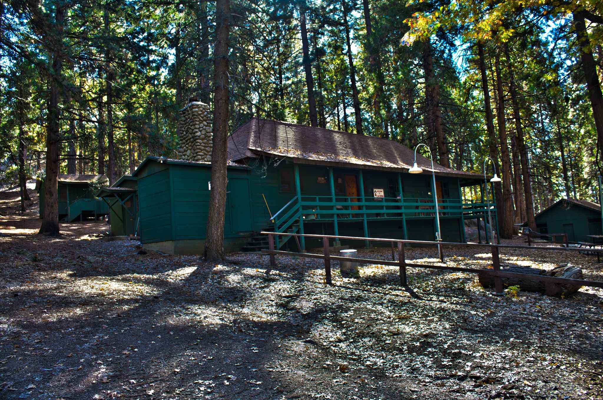 Green cabins nestled in a sun-dappled forest. - The Hub loop