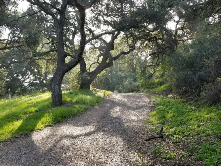 Chumash Indian Museum: Radtouren und Radwege | komoot