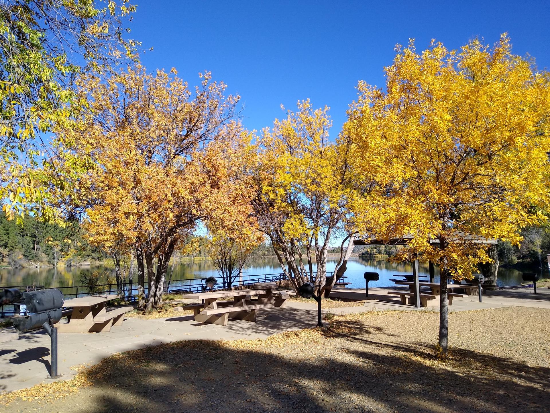 Sunny picnic area by a lake with vibrant yellow autumn trees.