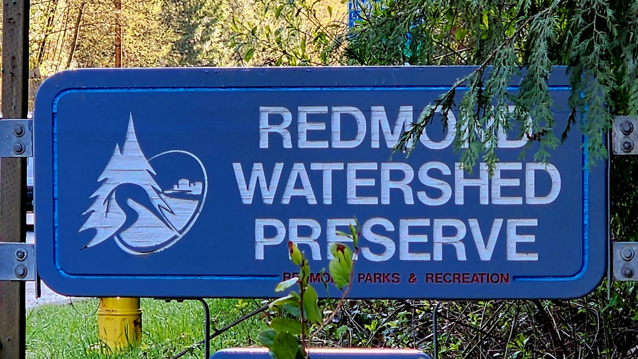 A blue sign with white text and a nature logo, surrounded by green foliage. - Trillium Trail Loop