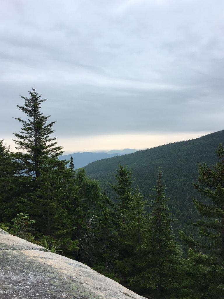 Evergreen trees frame a view of a forested mountain under cloudy skies.