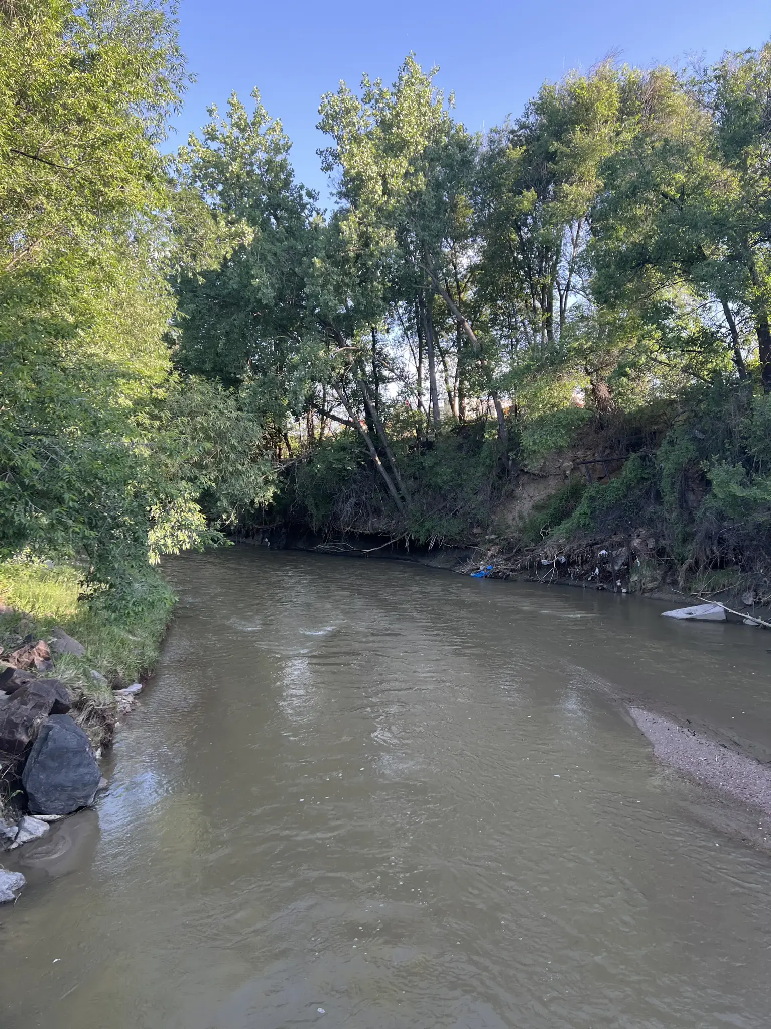 Murky river flowing between dense green trees on a sunny day.