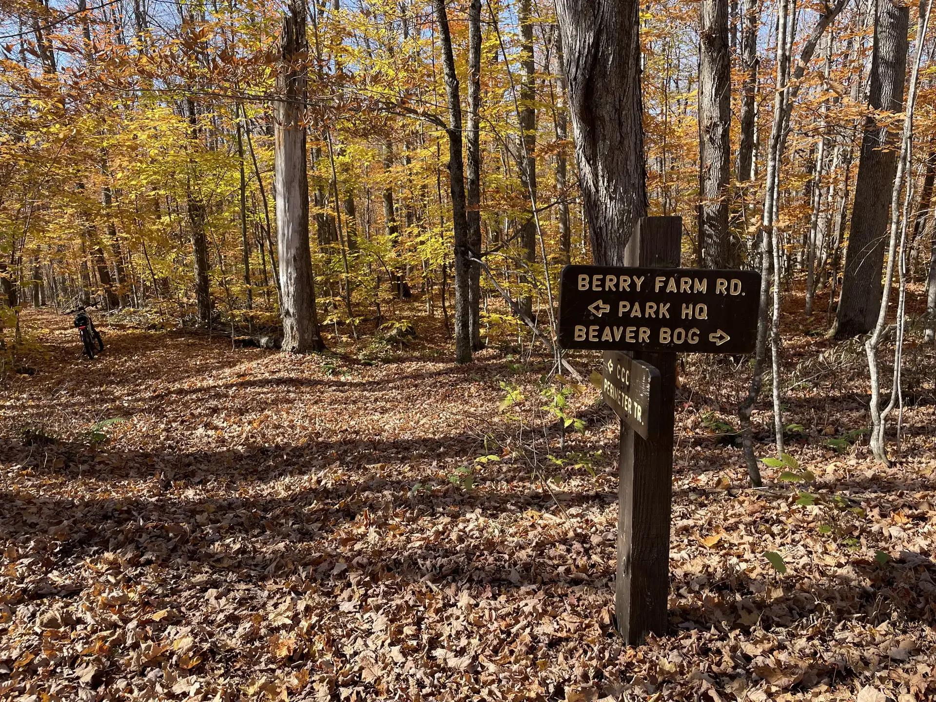 Wooden trail sign in an autumn forest with golden leaves covering the ground.