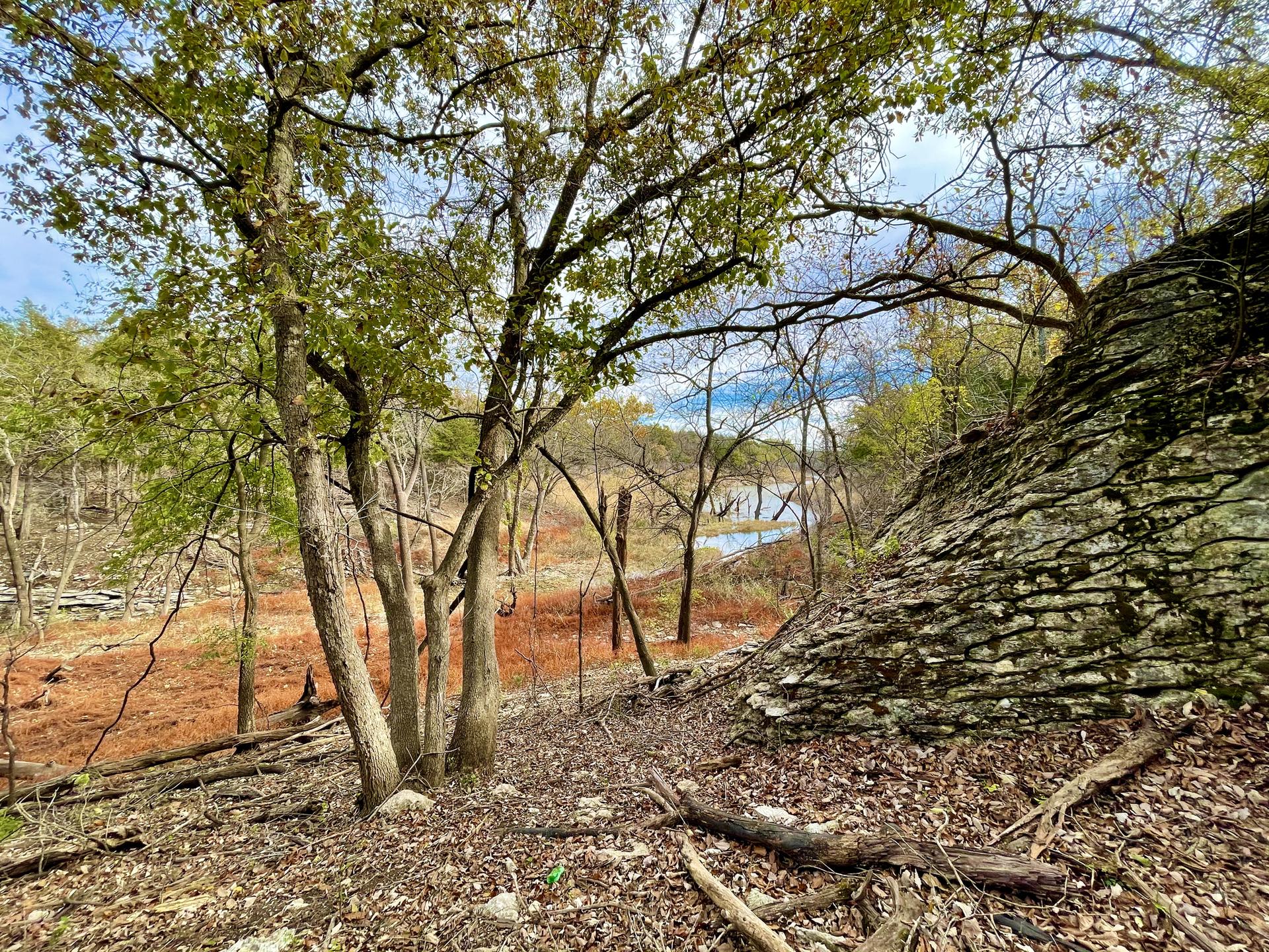 Wooded hillside with large rock, trees, and distant water under bright sky.