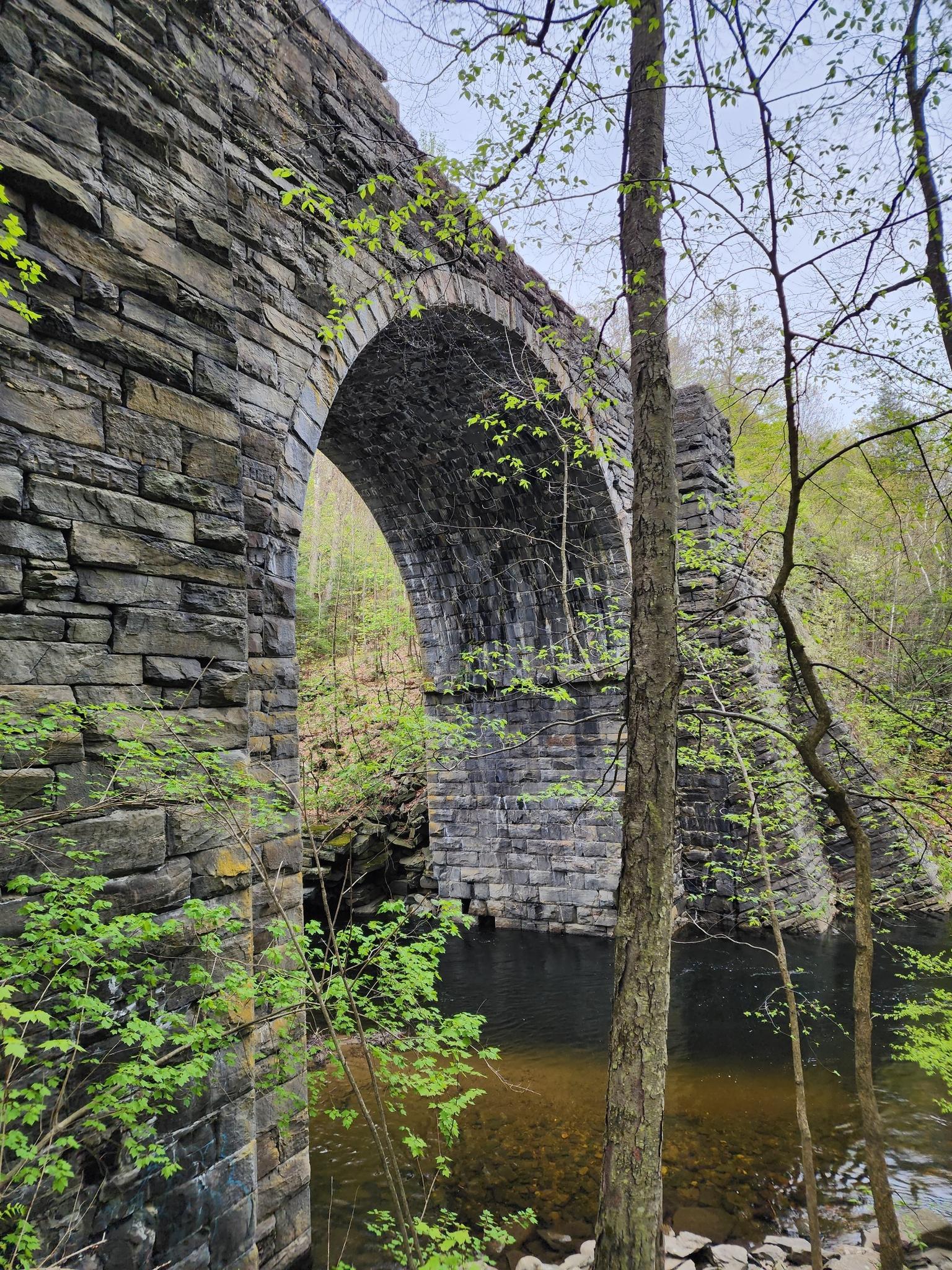 Historic stone arch bridge spanning a dark river in a green forest.