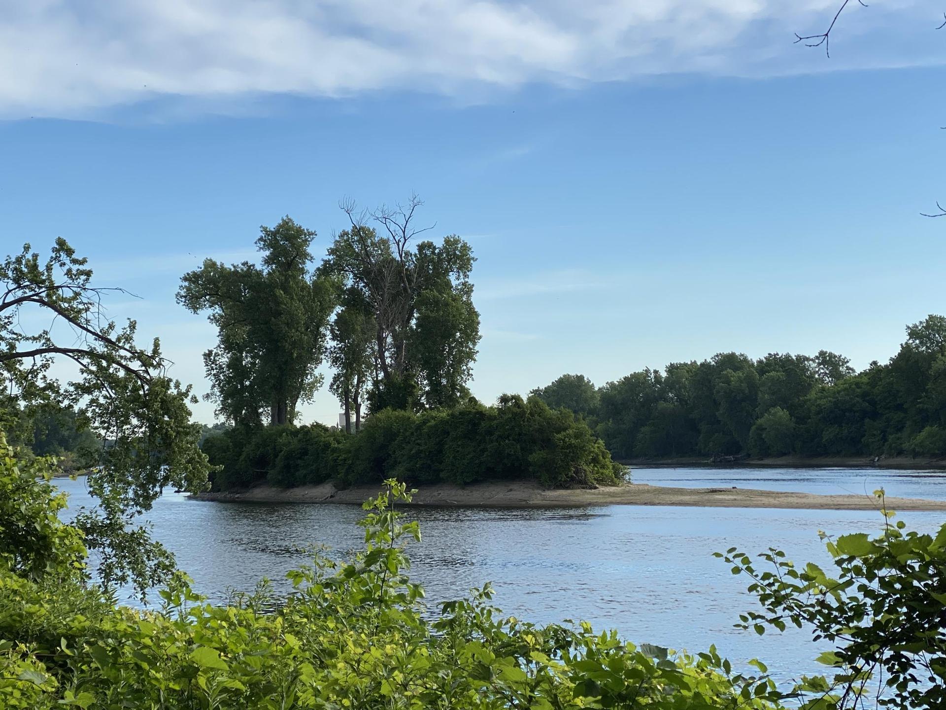 A wide river flows past a small, tree-covered island under a clear sky.