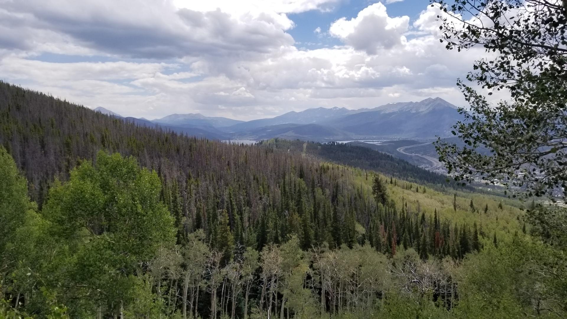 Expansive mountain landscape with dense forests, distant peaks, and a cloudy sky.