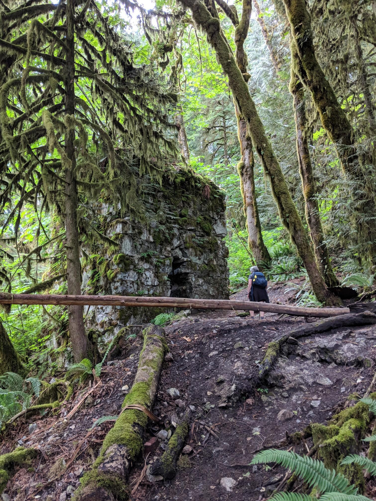Hiker near a moss-covered stone structure in a lush forest.