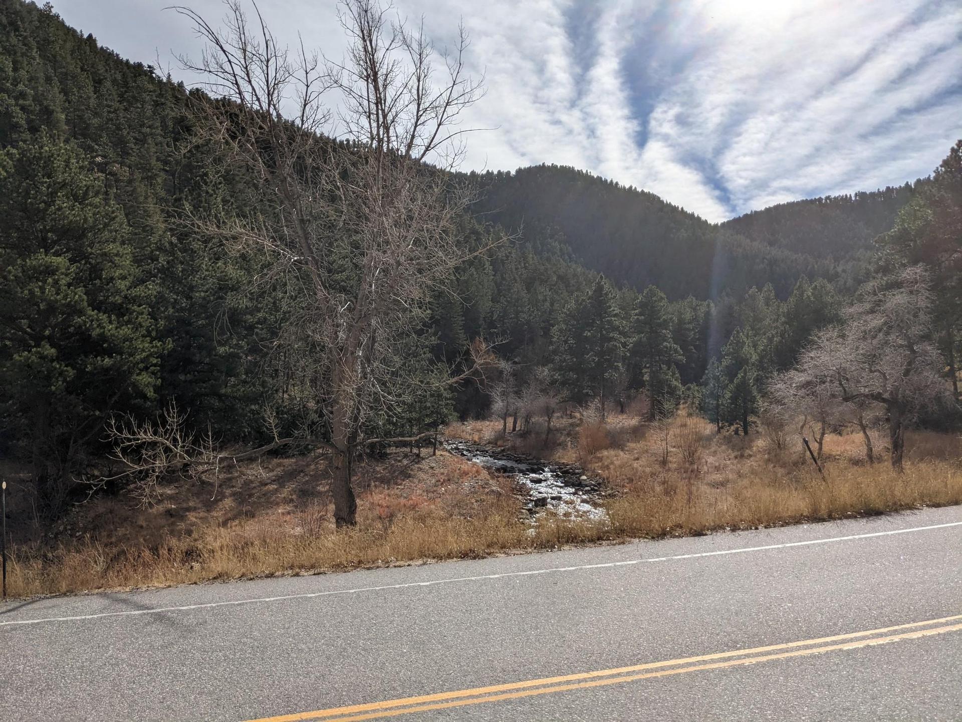 Roadside view of a stream, bare trees, and sunlit pine-covered mountains.