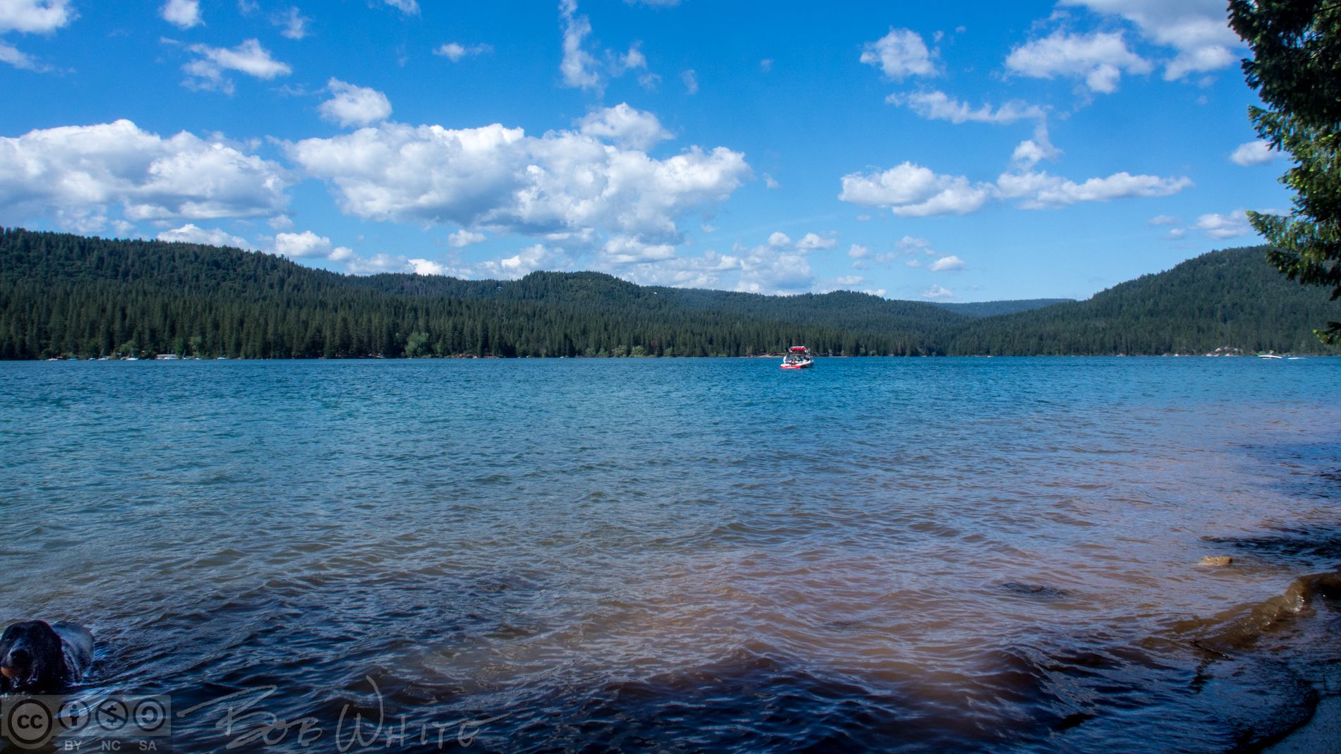 A sunny day over a large lake surrounded by forested hills with a distant boat. - Scotts Flat Lake loop via Cooper Road - Nevada City