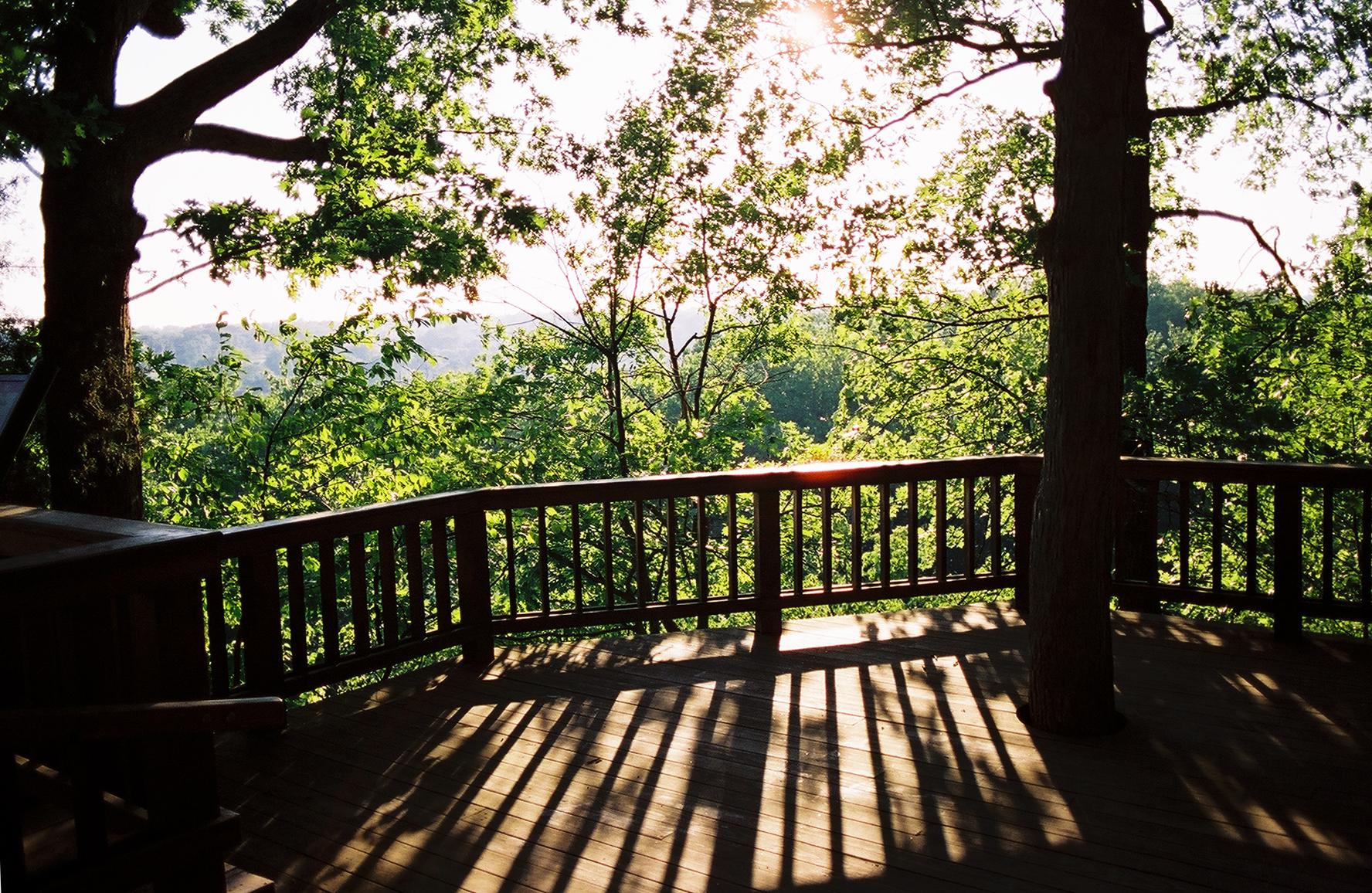 Sunny wooden deck overlooking a green forest, with strong tree shadows.