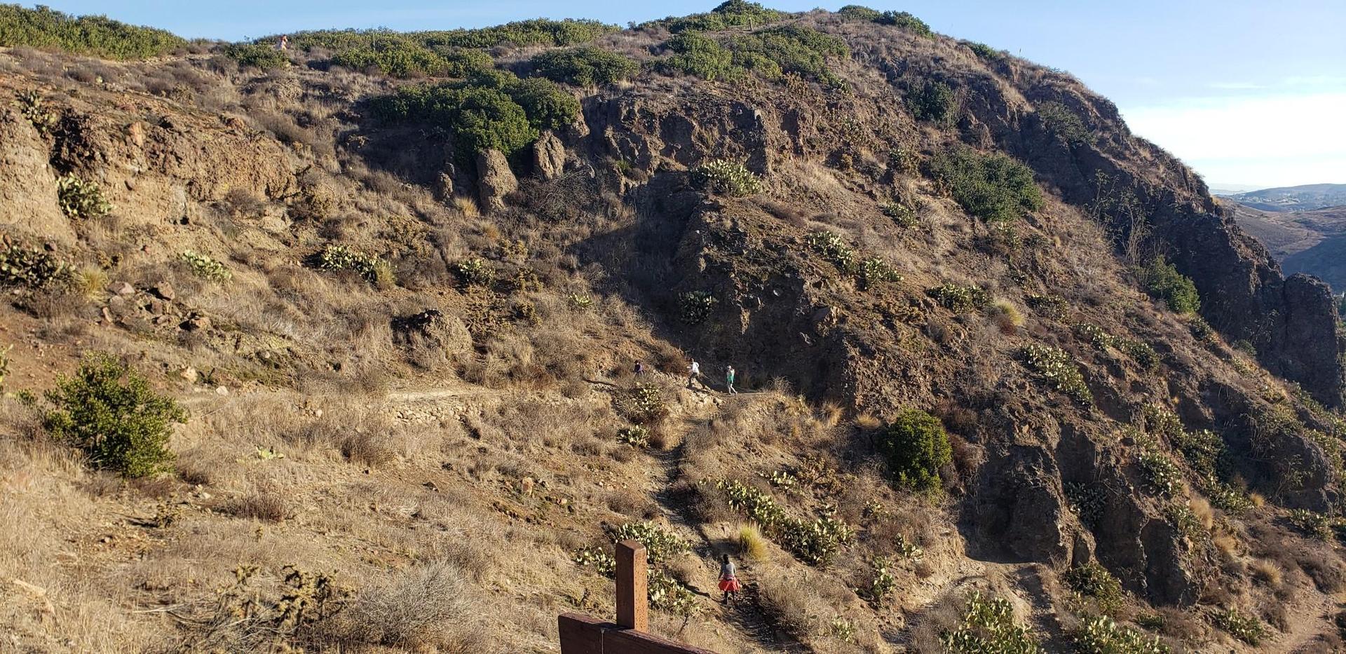 Steep, rocky hillside covered in dry brush and cacti under a bright sky.