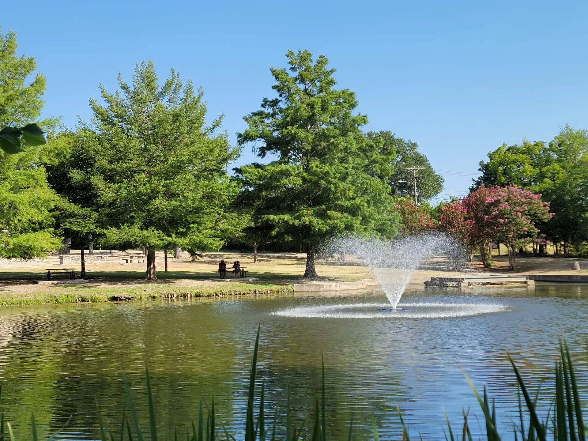 A pond with a fountain, surrounded by trees, with people relaxing nearby.