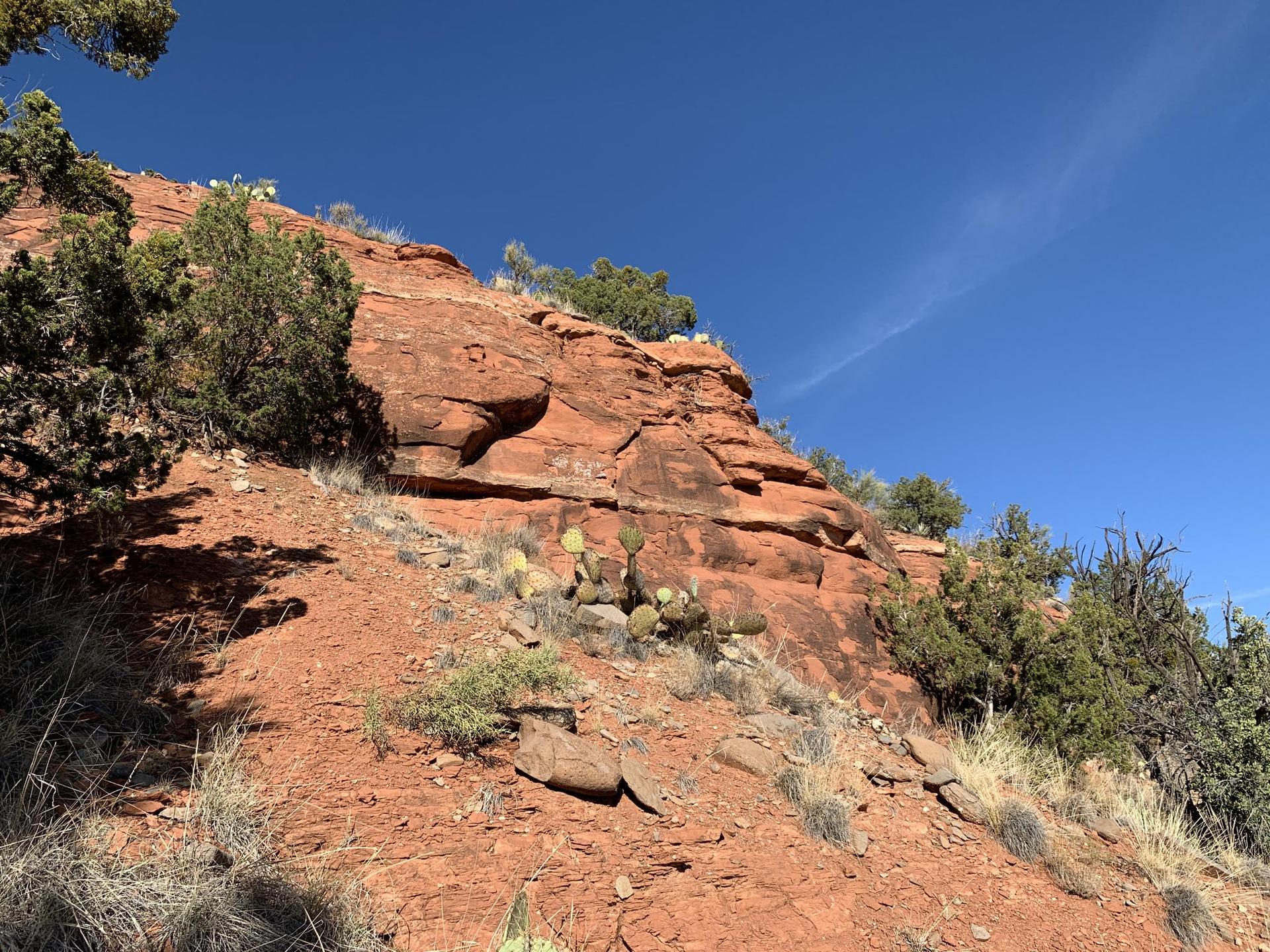 Red rock cliff face with green bushes and cacti under a clear blue sky.