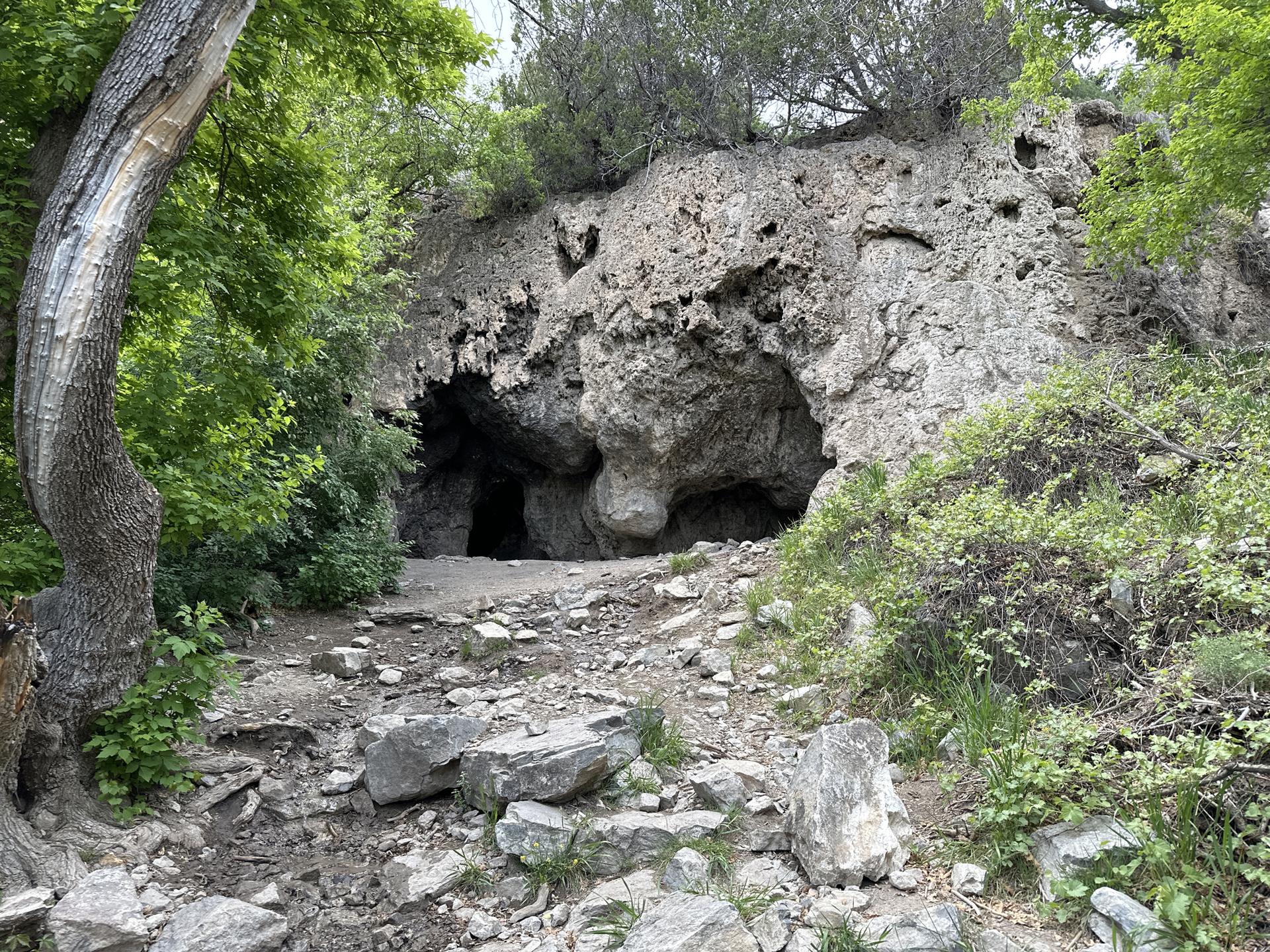 A large, dark cave entrance in a rocky cliff, surrounded by green trees.