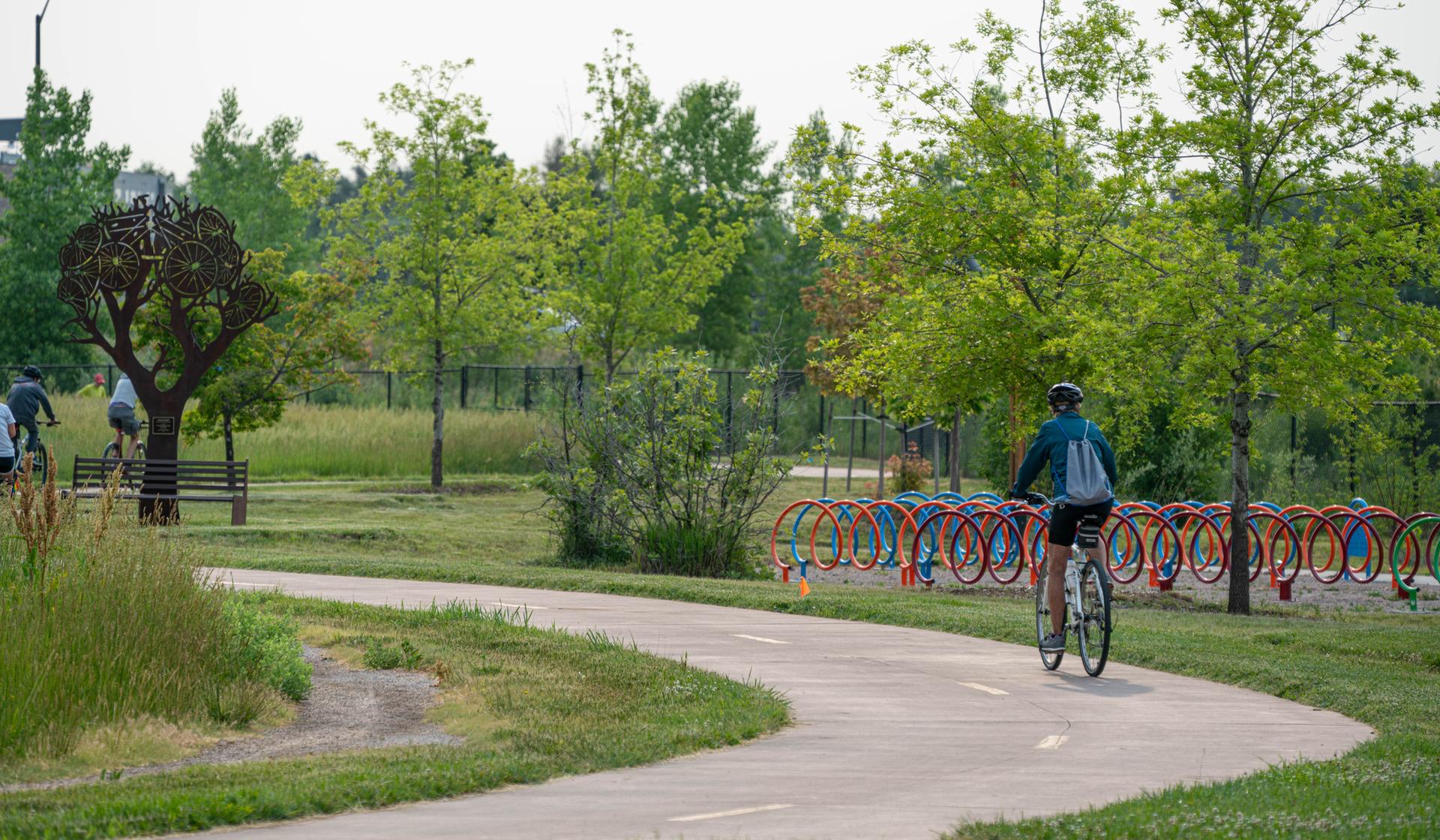 A person cycles on a winding paved path through a green park.
