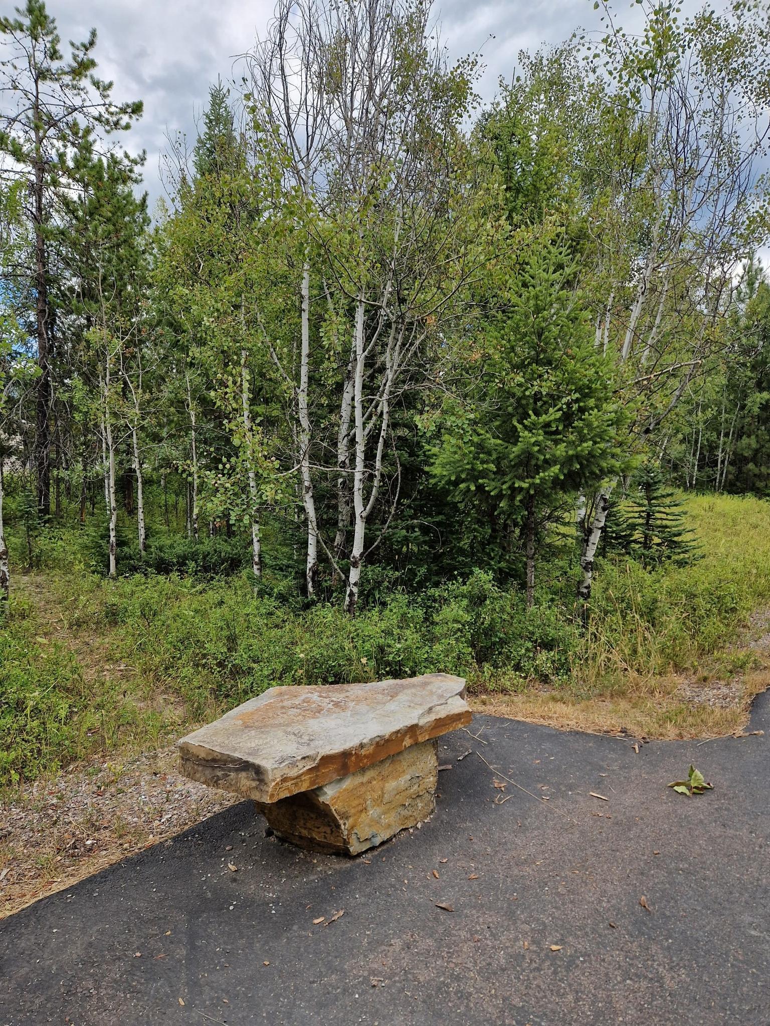A rustic stone bench sits beside a paved path near a forest.