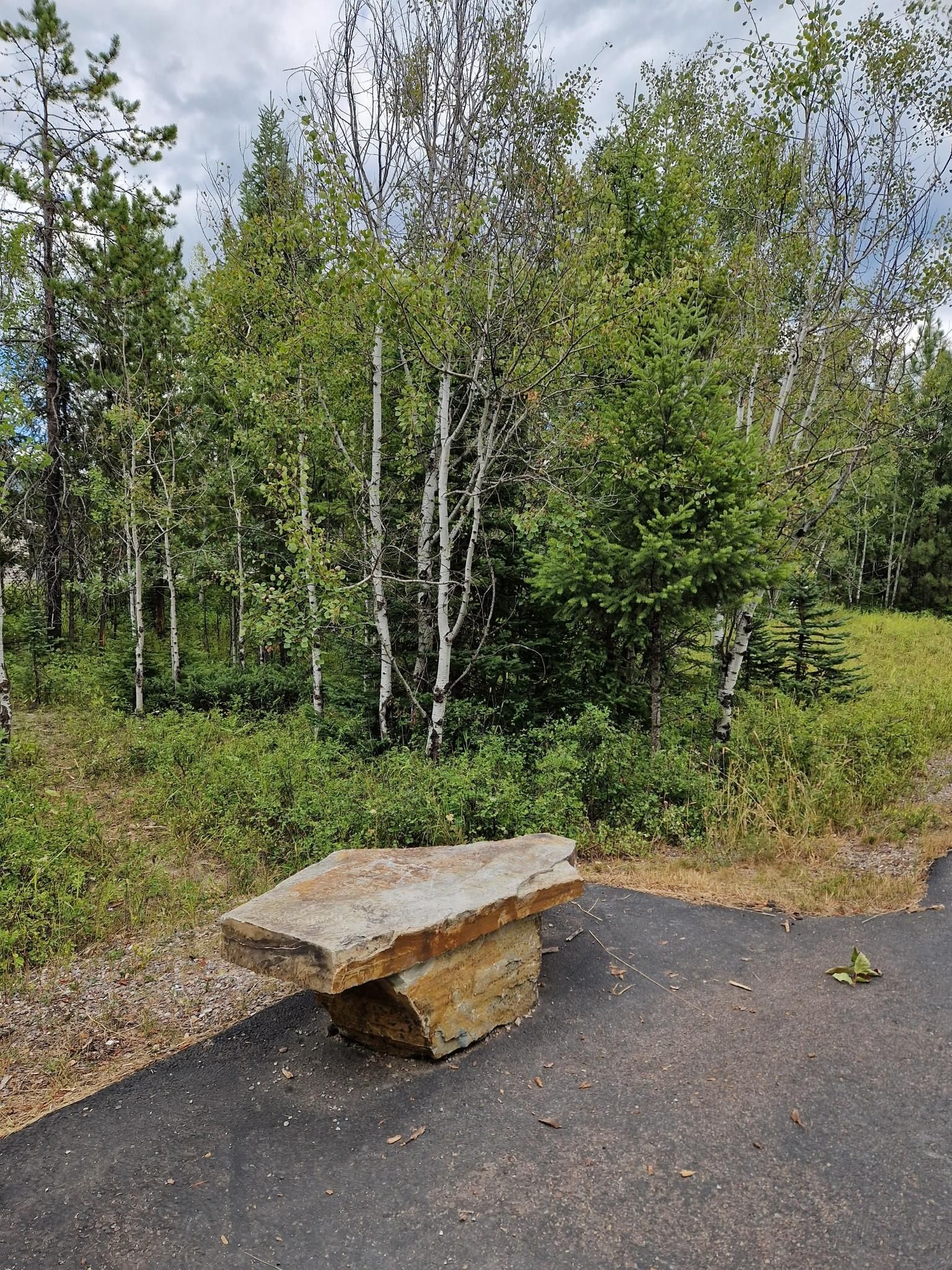 A rustic stone bench sits beside a paved path near a forest. - Great Divide Mountain Bike Route