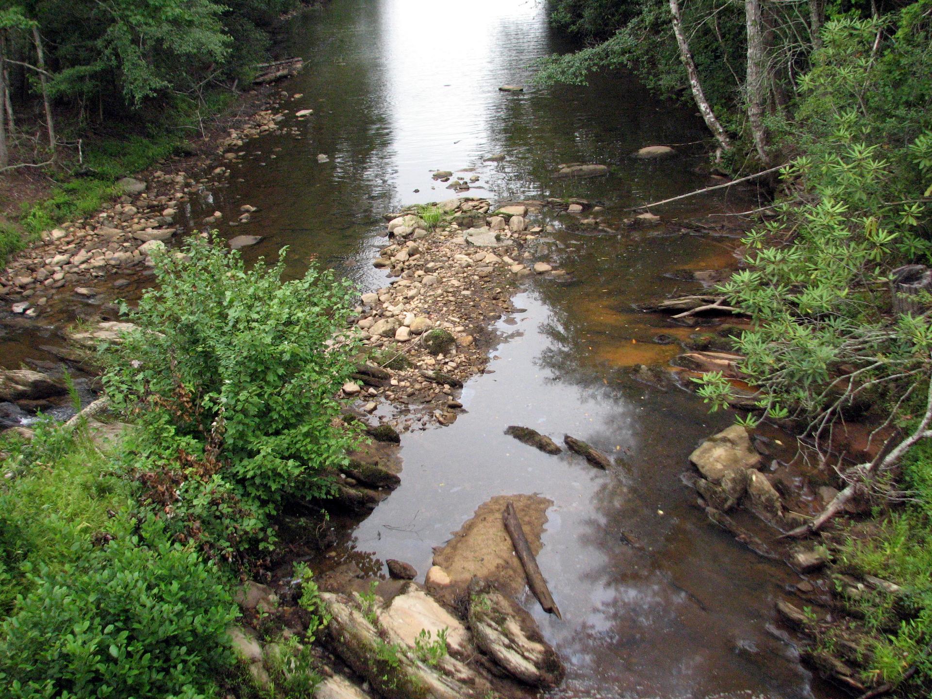 A rocky river flows through a lush green forest under an overcast sky.