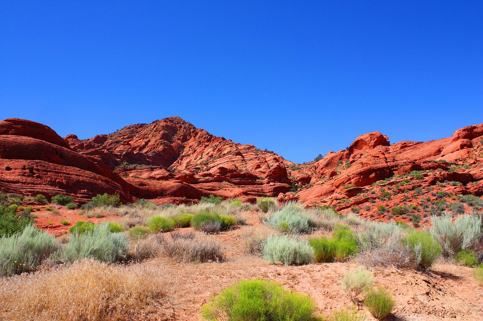 Vibrant red rock formations under a clear blue sky with desert scrub.