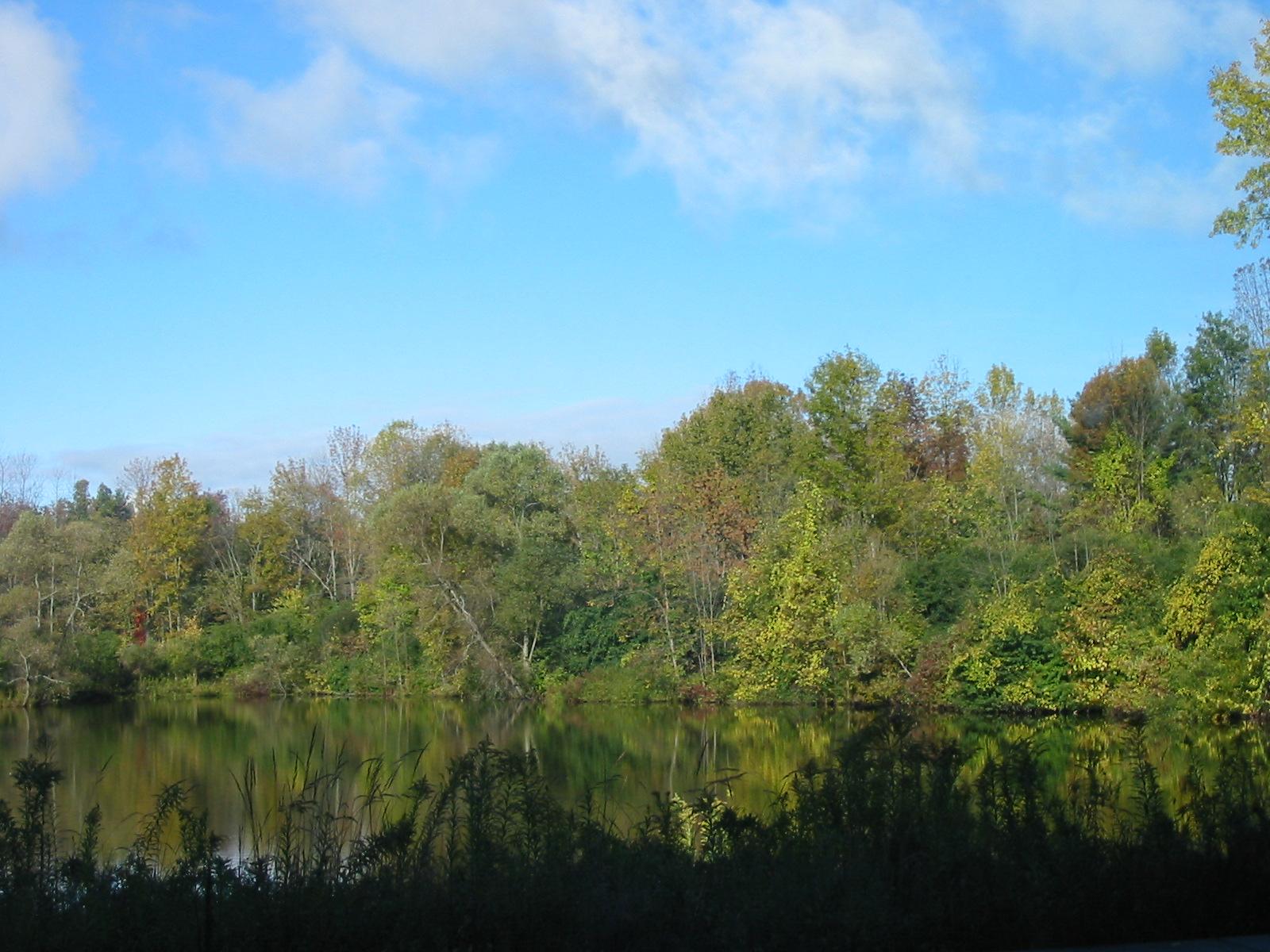 Serene lake reflecting colorful autumn trees under a bright blue sky.