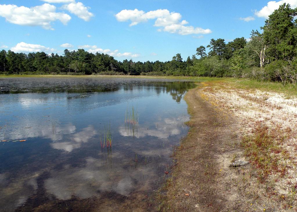 Calm lake reflecting blue sky and clouds, surrounded by green trees and sandy shore.