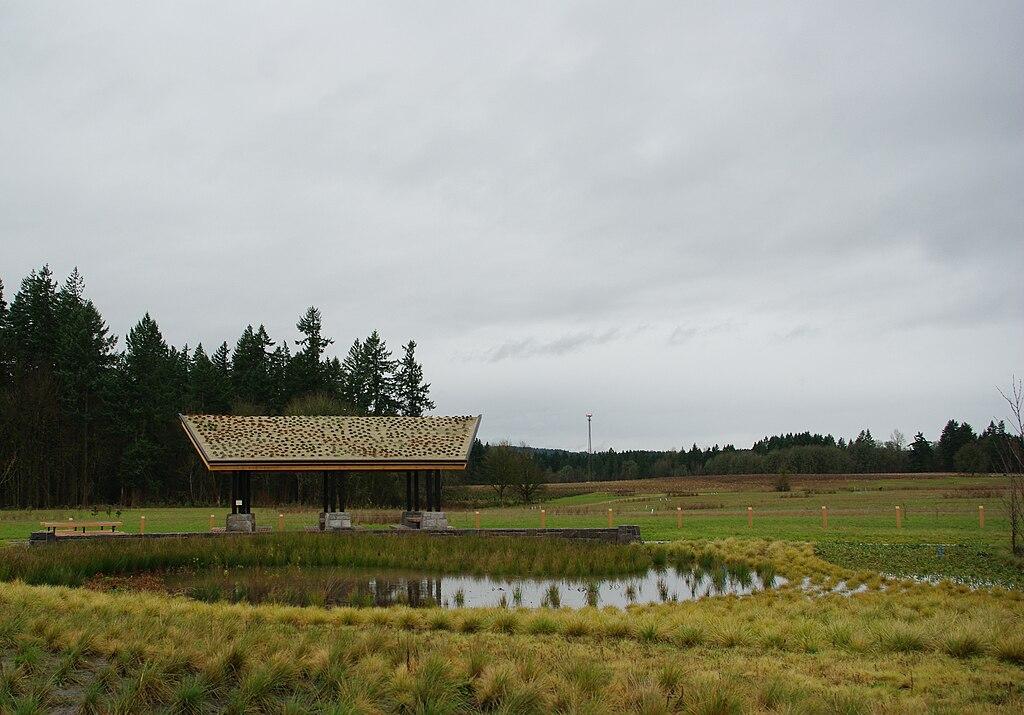 A covered shelter stands by a pond in a grassy field under an overcast sky.