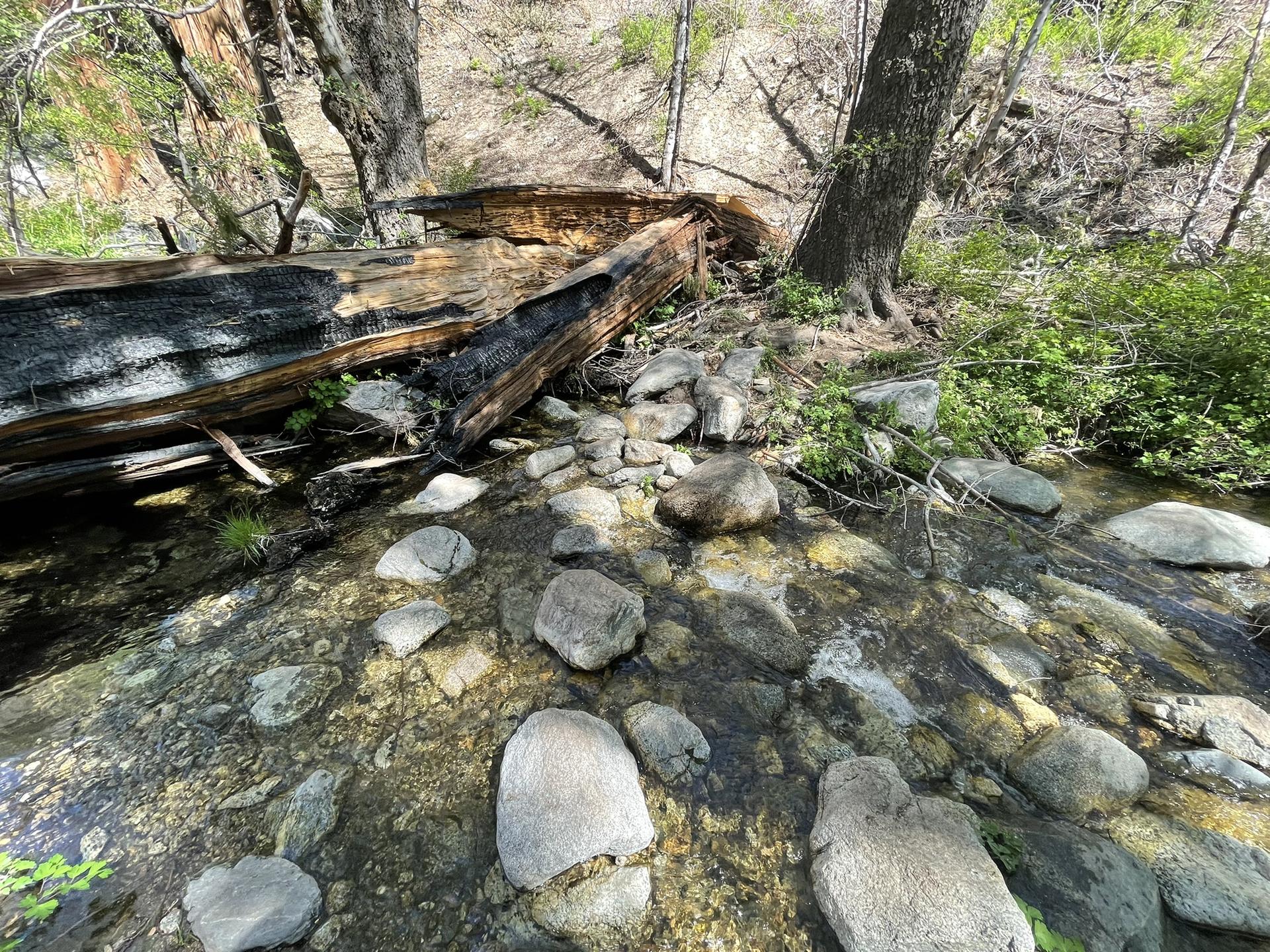 A clear, rocky stream flows past a large, charred fallen log.