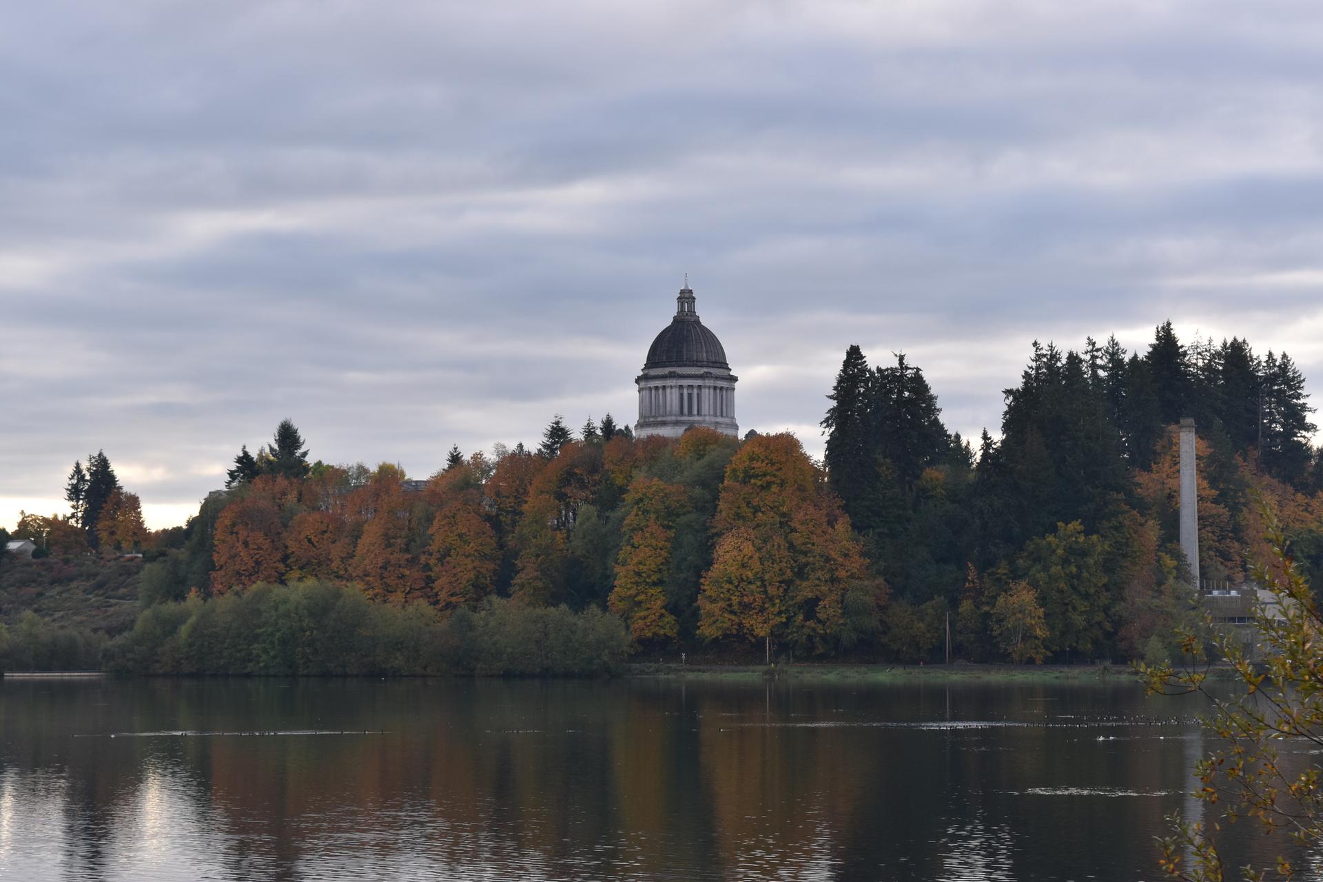 Domed building on a forested hill overlooking water under an overcast sky.