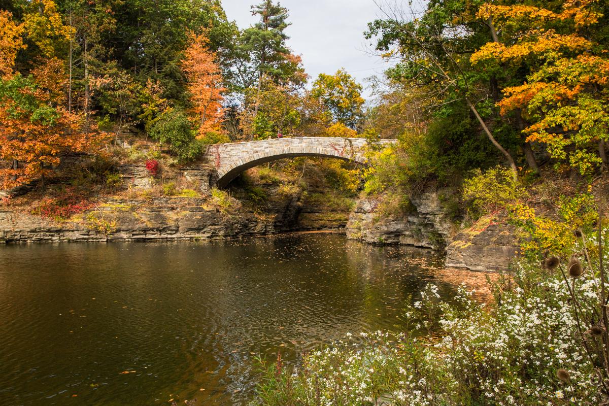 Stone arch bridge over a river, surrounded by vibrant autumn trees and wildflowers.