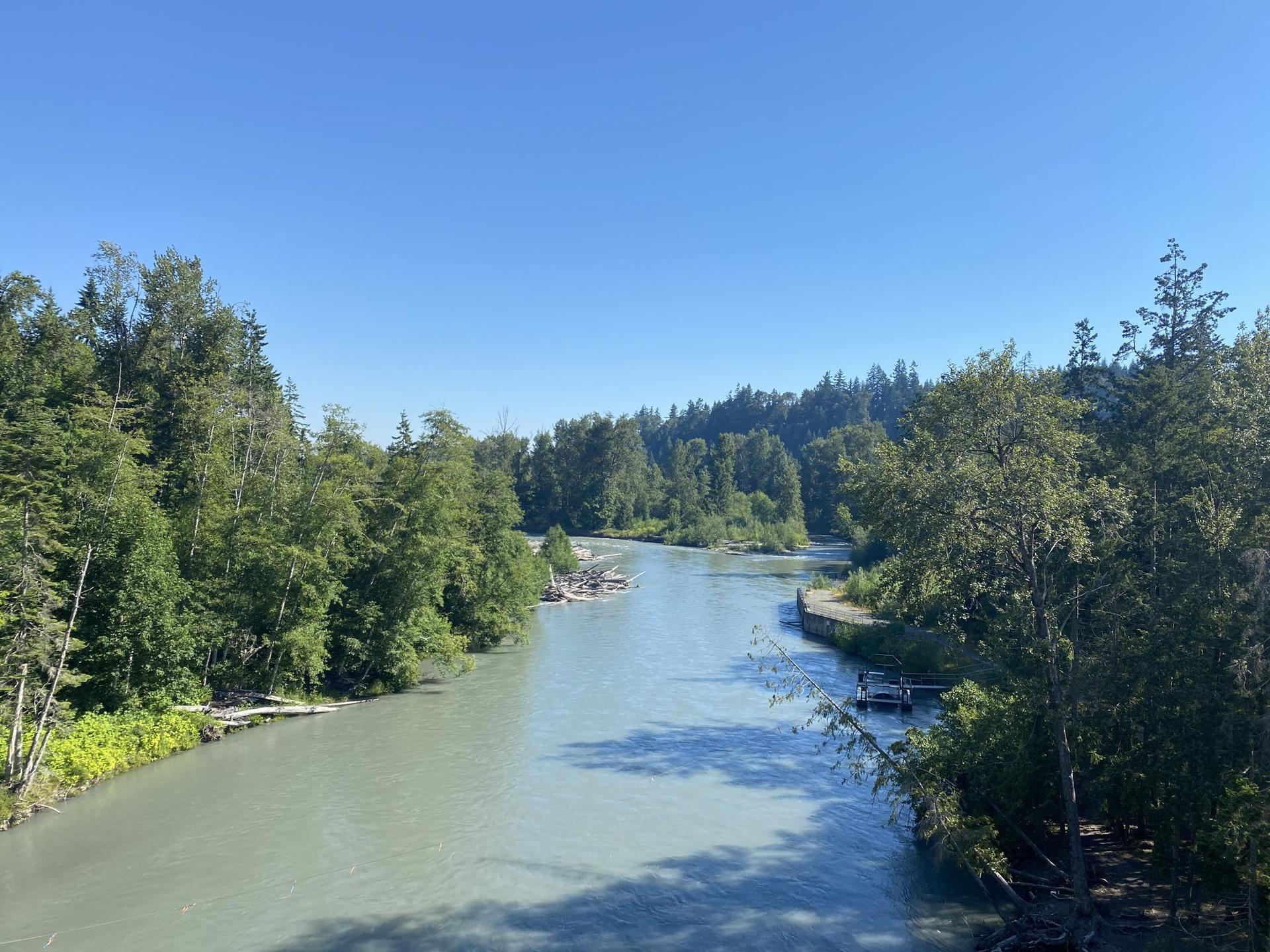 A wide, light green river flows through dense forests under a clear blue sky.