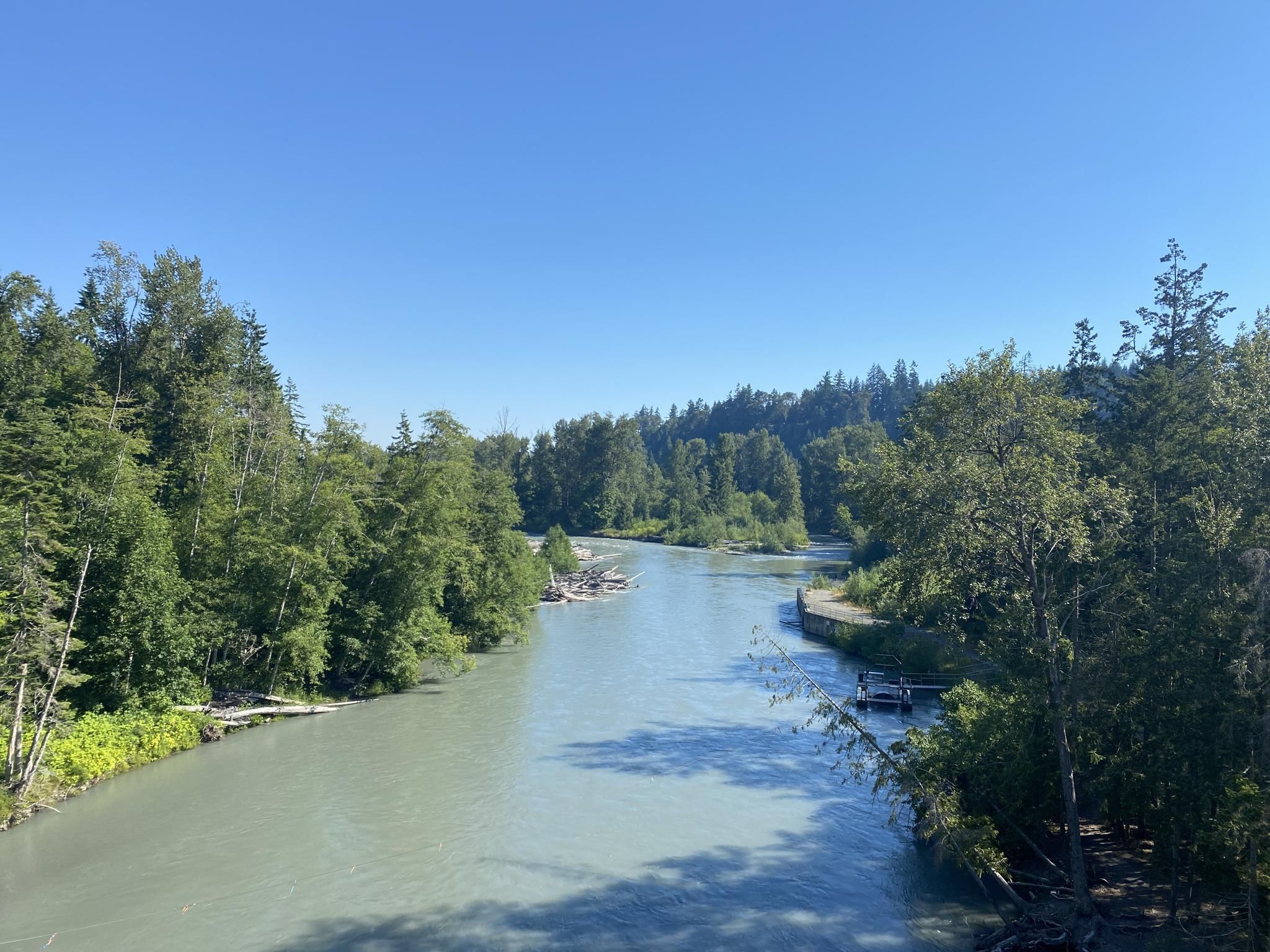 A wide, light green river flows through dense forests under a clear blue sky. - Port Angeles to Lake Crescent