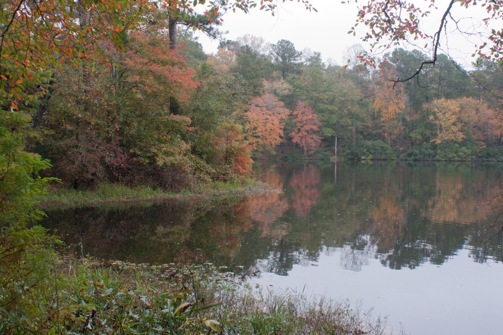 Overcast view of a calm lake reflecting colorful autumn trees.