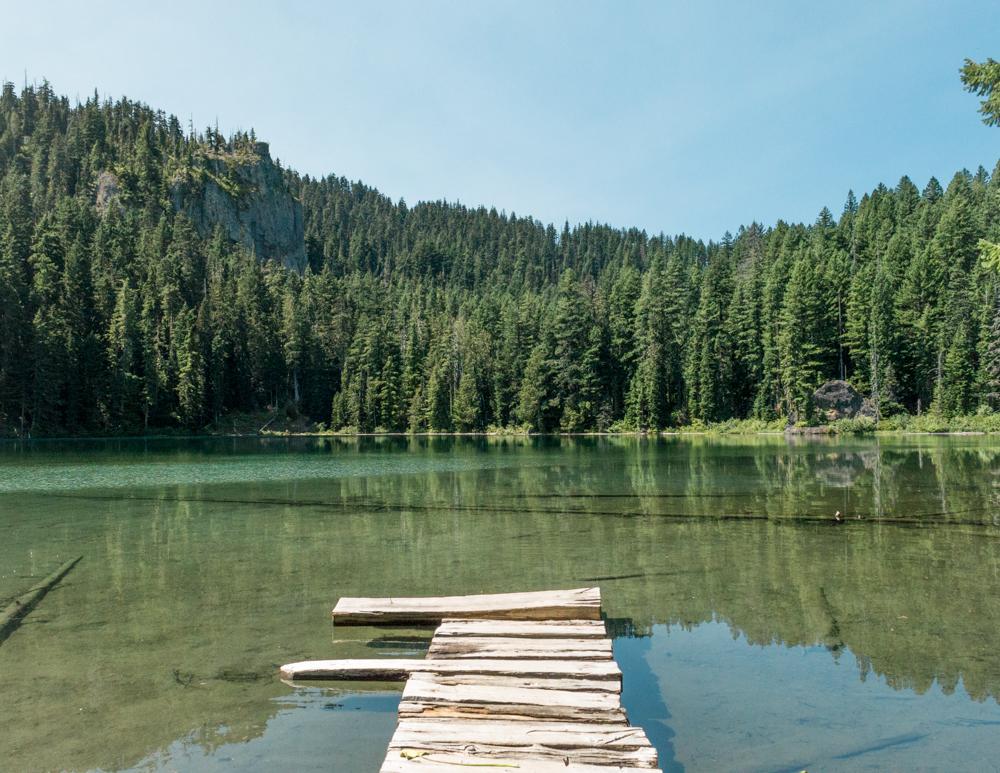 Wooden dock extends into a clear, calm lake surrounded by green forest.