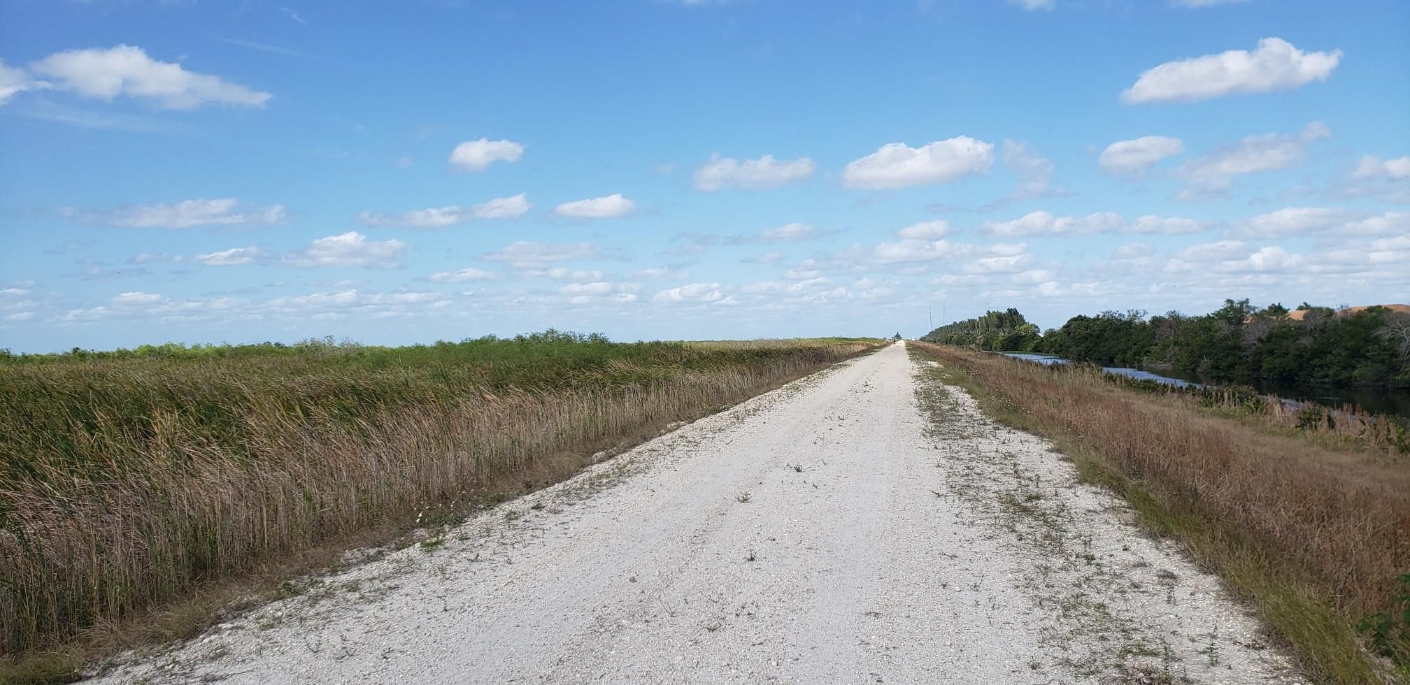 A wide dirt road stretches through flat, grassy fields under a blue sky. - Conservation Levee Greenway Loop