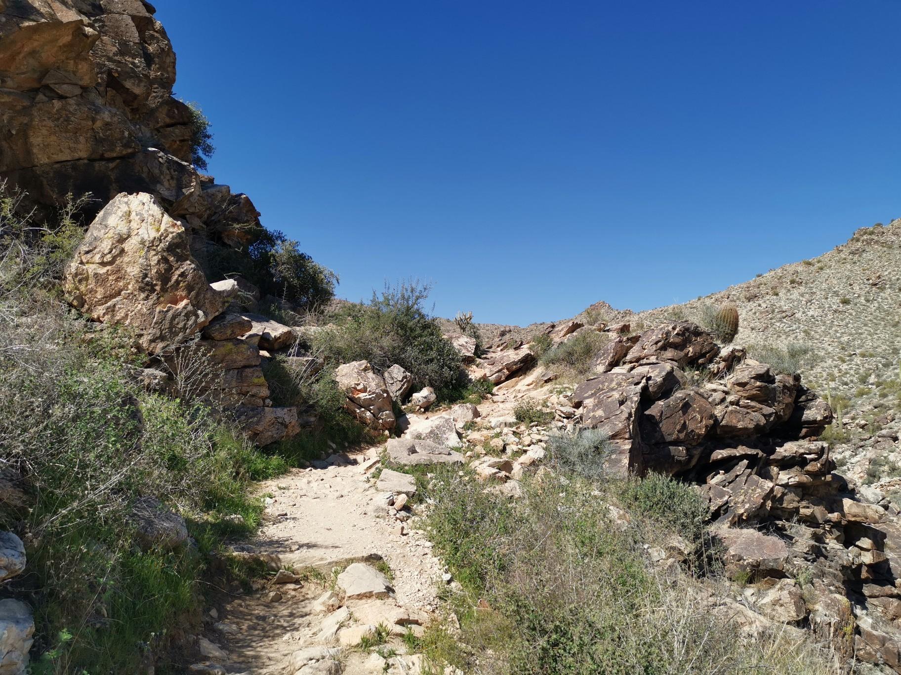 A rocky desert trail winds through an arid canyon under a bright blue sky.