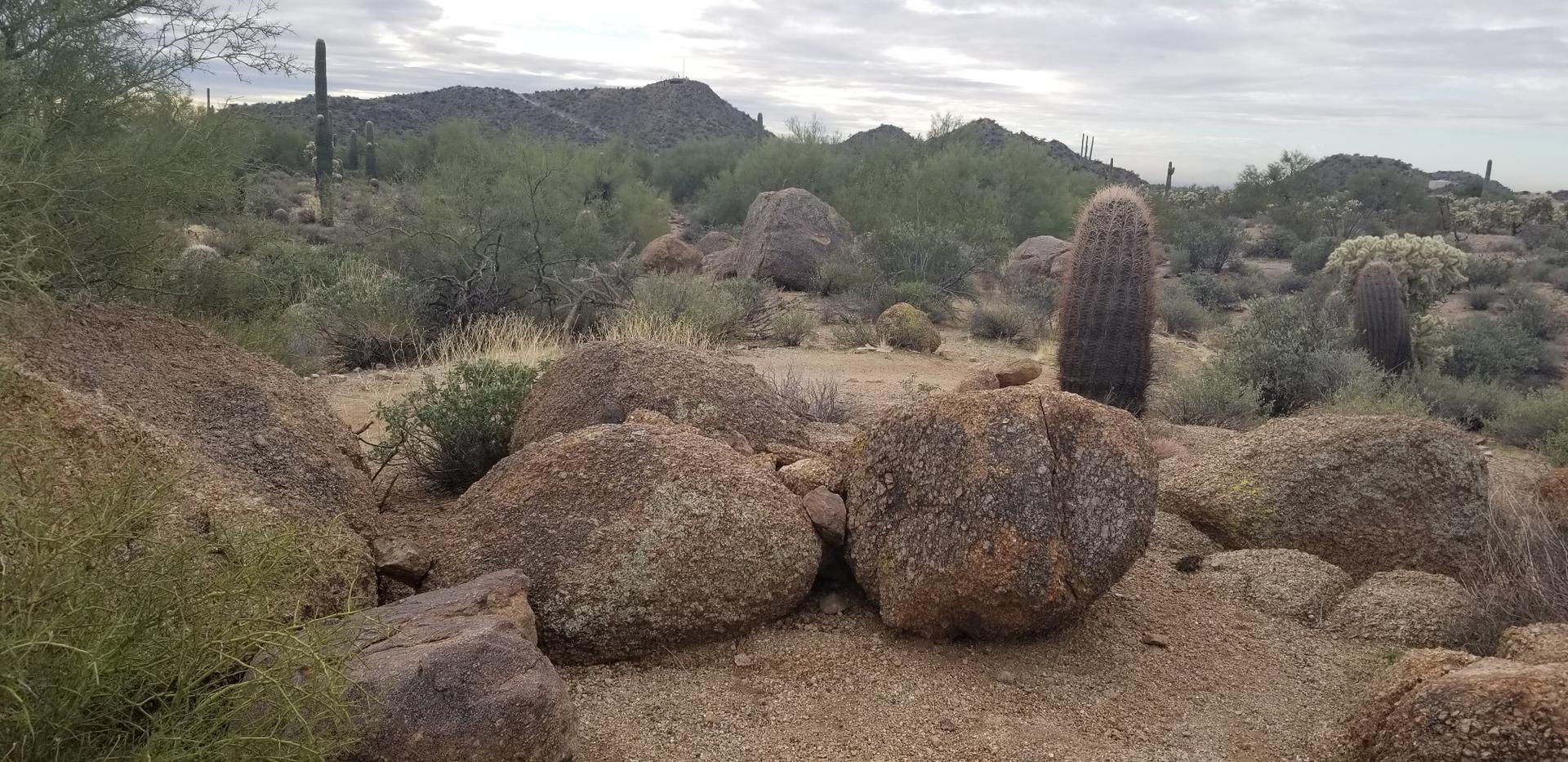 Desert landscape featuring large boulders, cacti, and distant hills under cloudy skies.