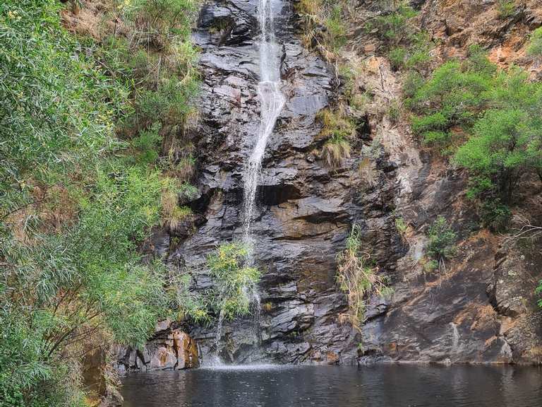 Waterfall Gully 🏞🥾📸 Routes for Walking and Hiking | Komoot